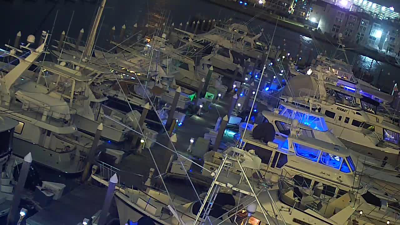 Golden Nugget Closeup looking East