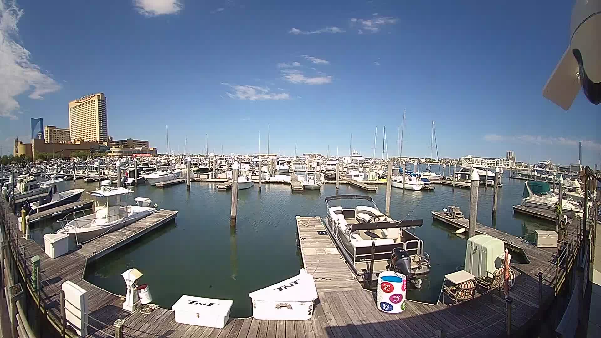 Golden Nugget Cam from the marina looking north towards the casino