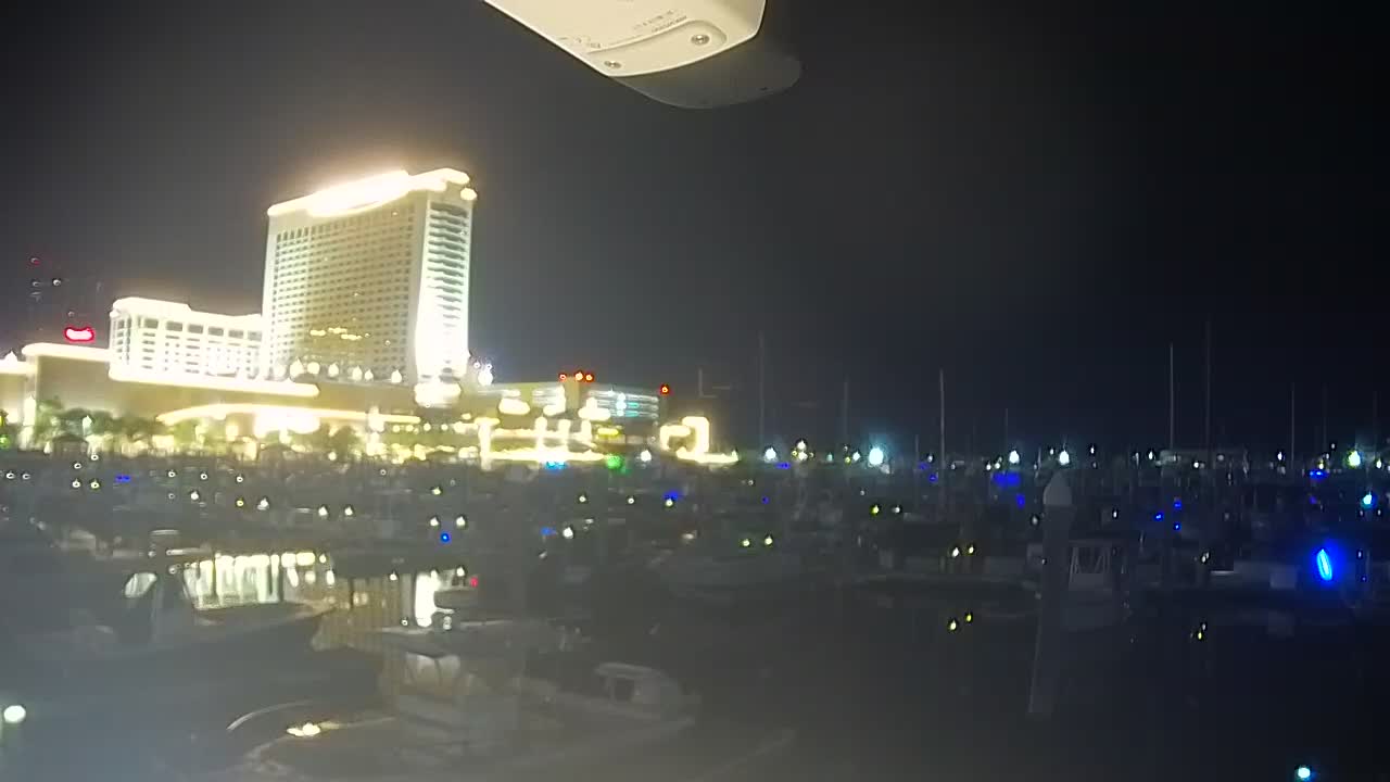 Golden Nugget Cam from the marina looking towards the Northeast