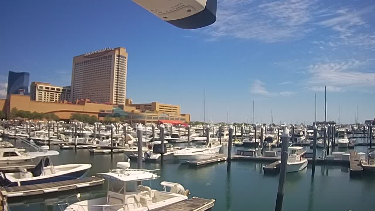 Golden Nugget Cam from the marina looking towards the Northeast