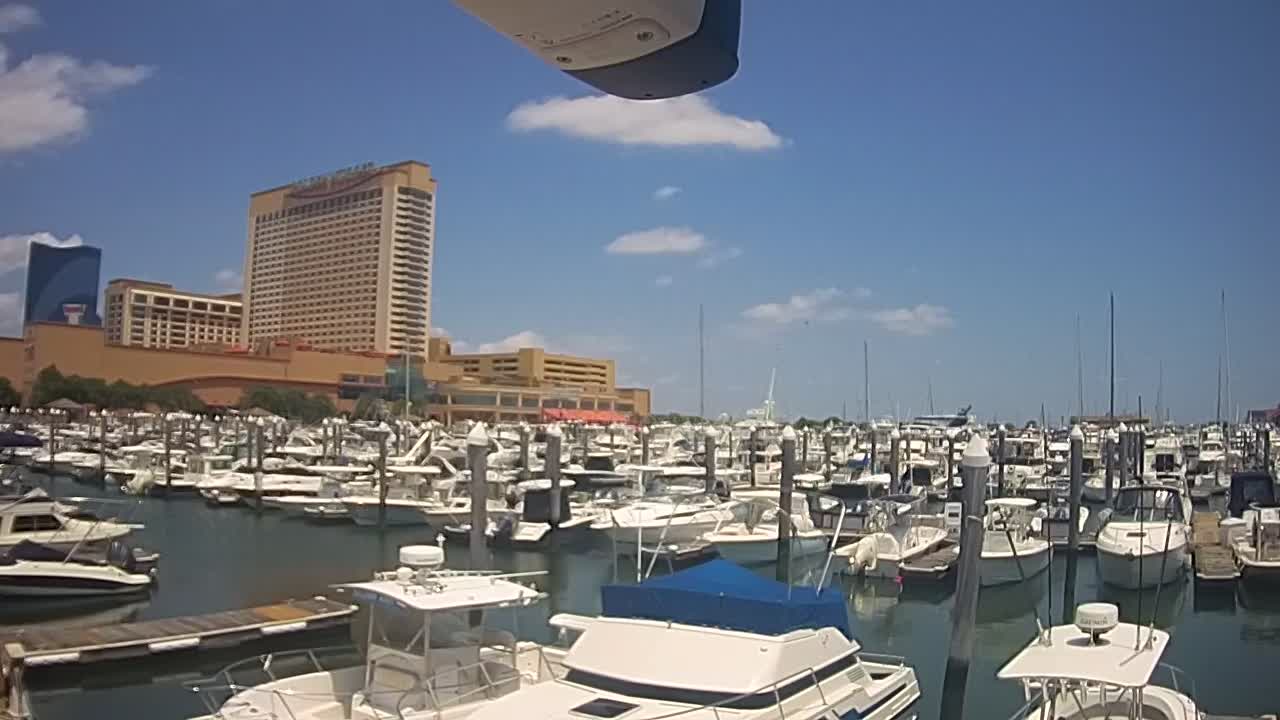 Golden Nugget Cam from the marina looking towards the Northeast
