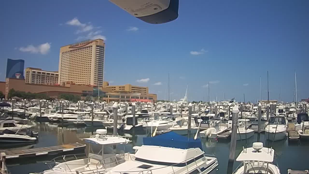 Golden Nugget Cam from the marina looking towards the Northeast