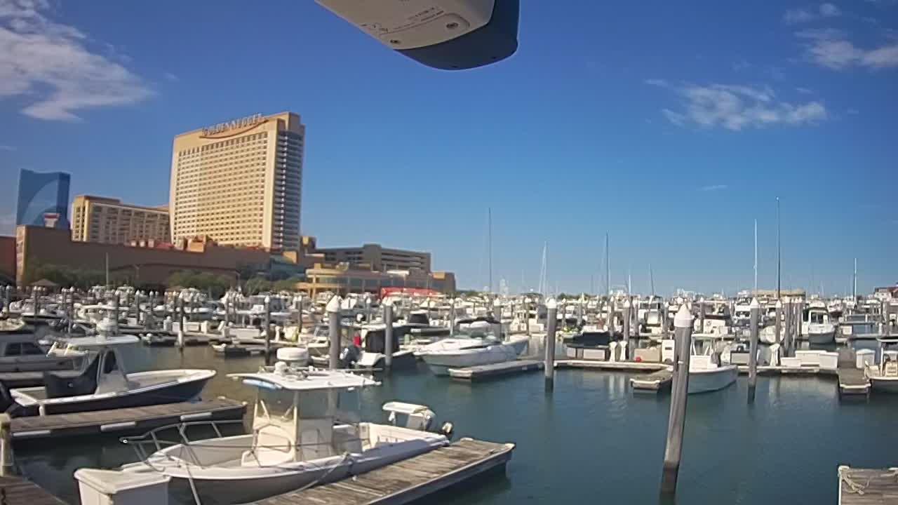 Golden Nugget Cam from the marina looking towards the Northeast