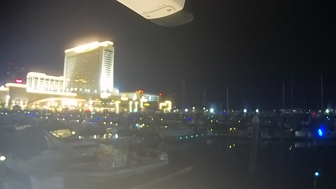 Golden Nugget Cam from the marina looking towards the Northeast