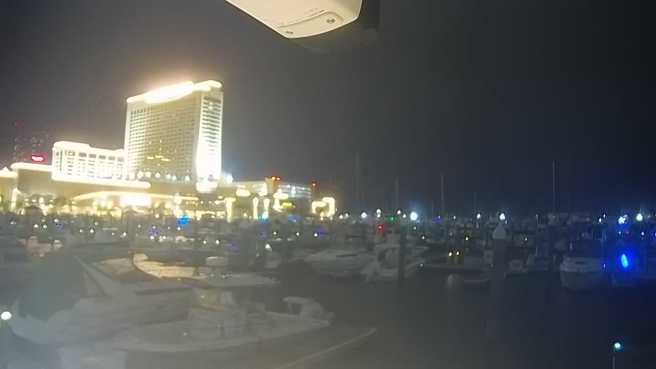 Golden Nugget Cam from the marina looking towards the Northeast