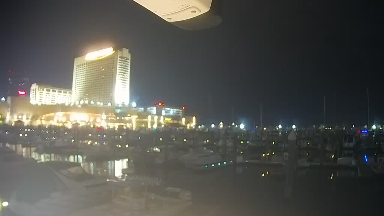 Golden Nugget Cam from the marina looking towards the Northeast