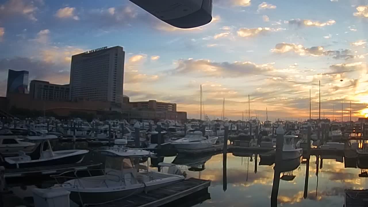 Golden Nugget Cam from the marina looking towards the Northeast