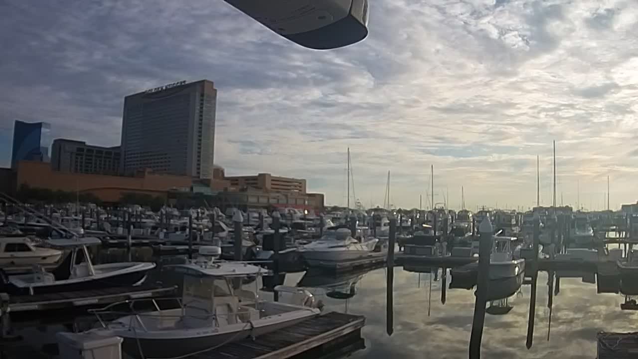 Golden Nugget Cam from the marina looking towards the Northeast