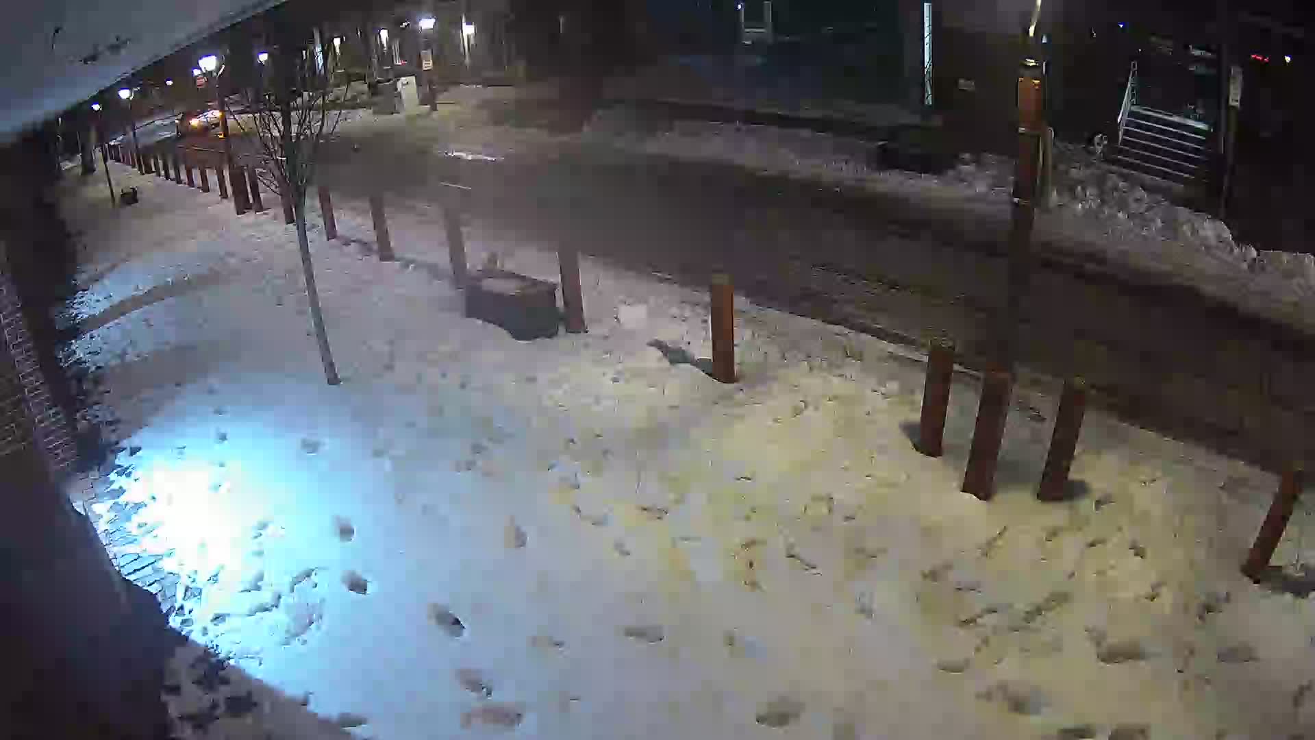 Headhouse Square Shambles Looking Northeast