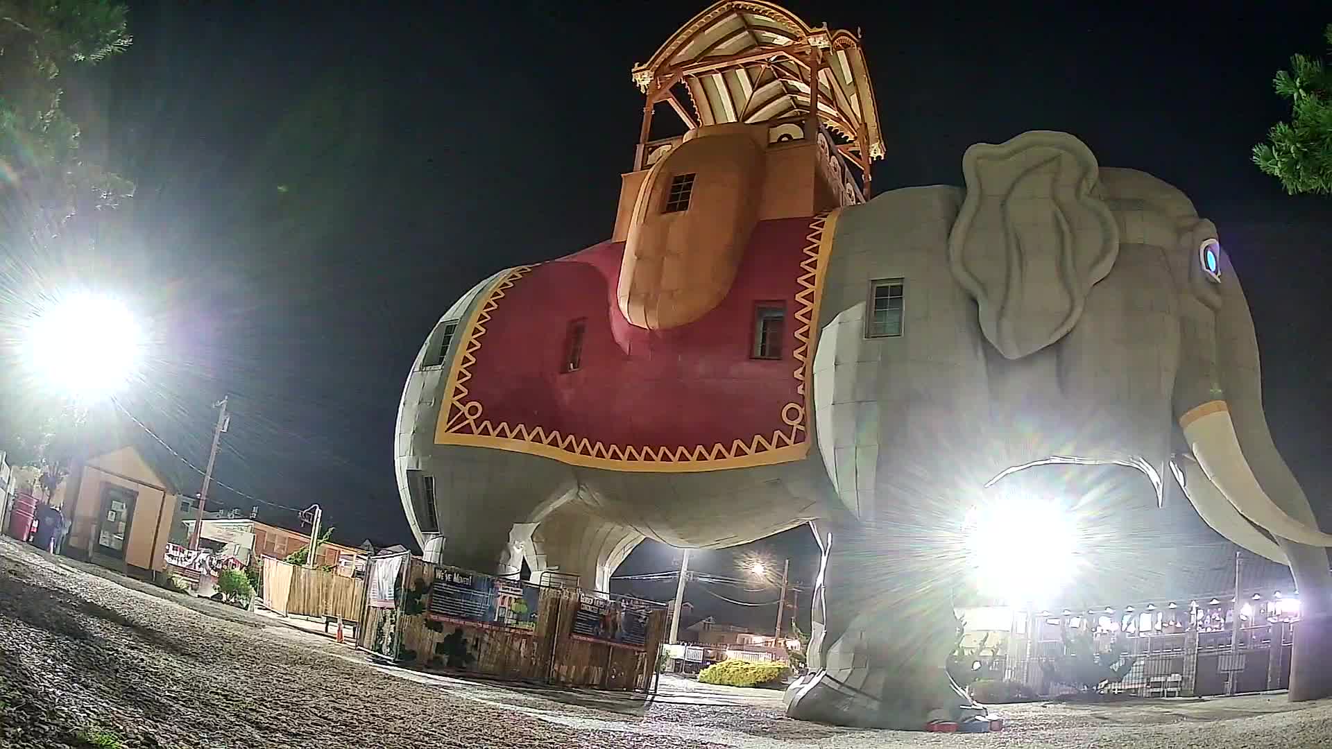 Lucy the Elephant Live Cam Margate, NJ