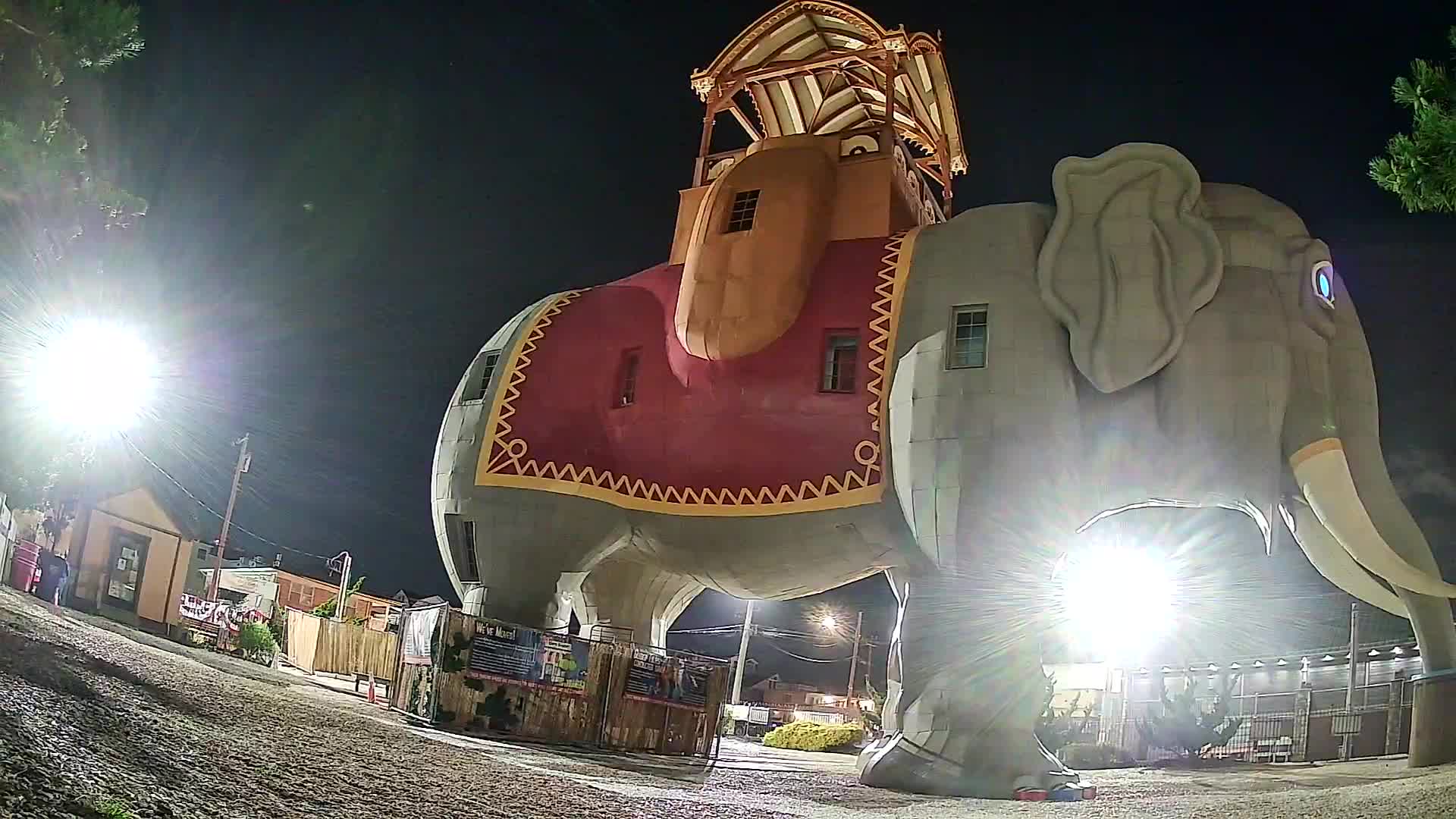 Lucy the Elephant Live Cam Margate, NJ