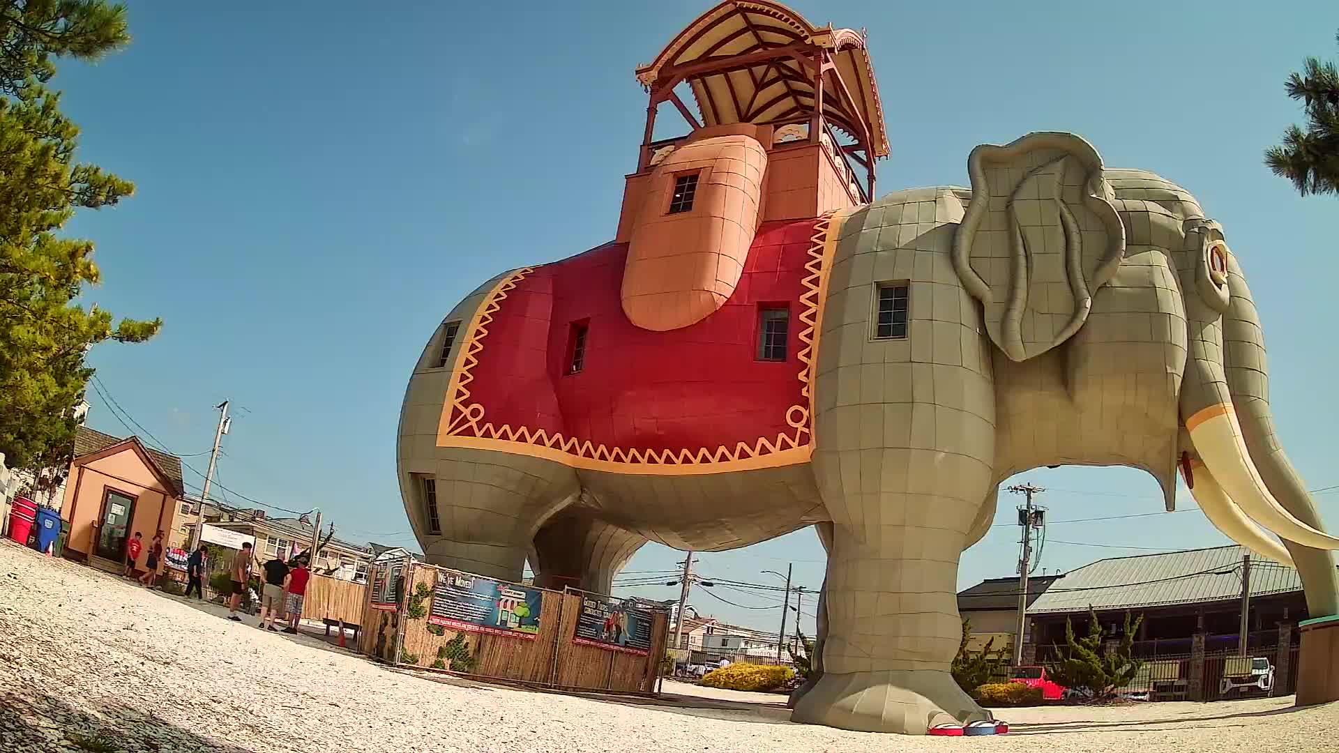 Lucy the Elephant Live Cam Margate, NJ