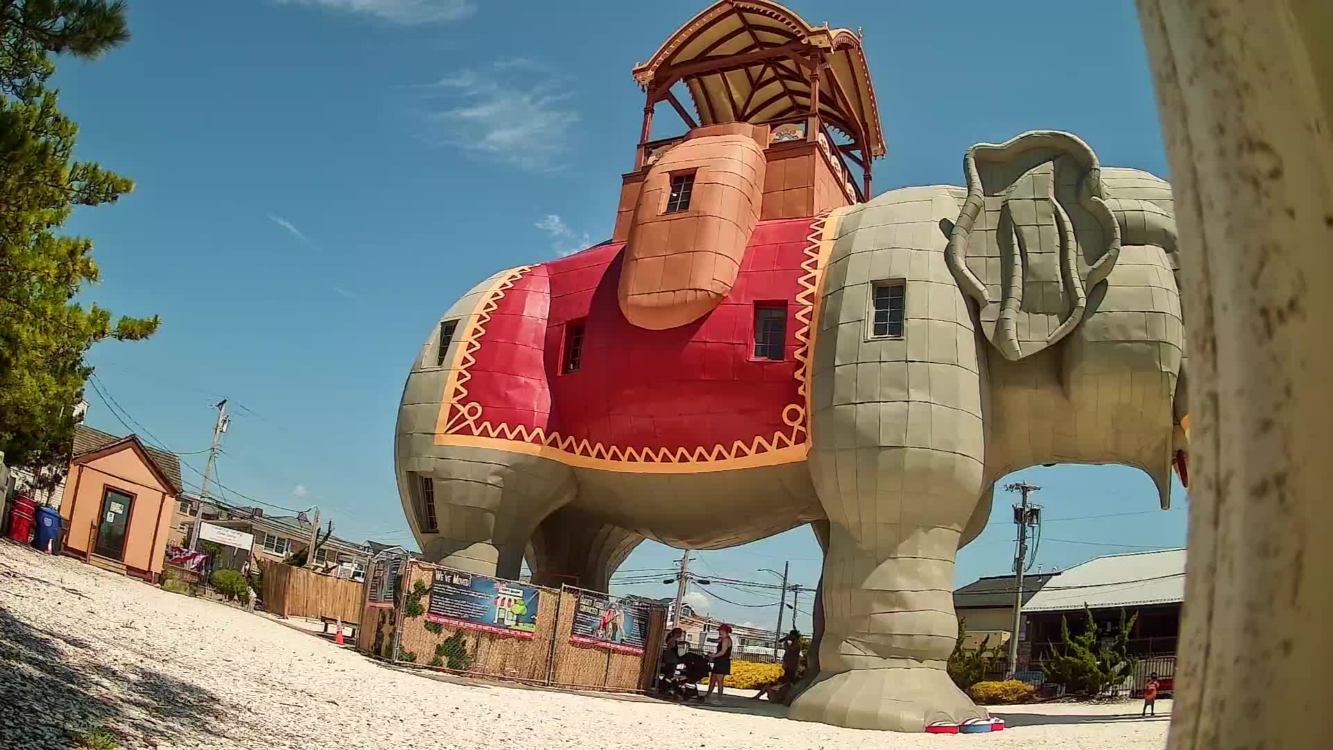 Lucy the Elephant Live Cam Margate, NJ