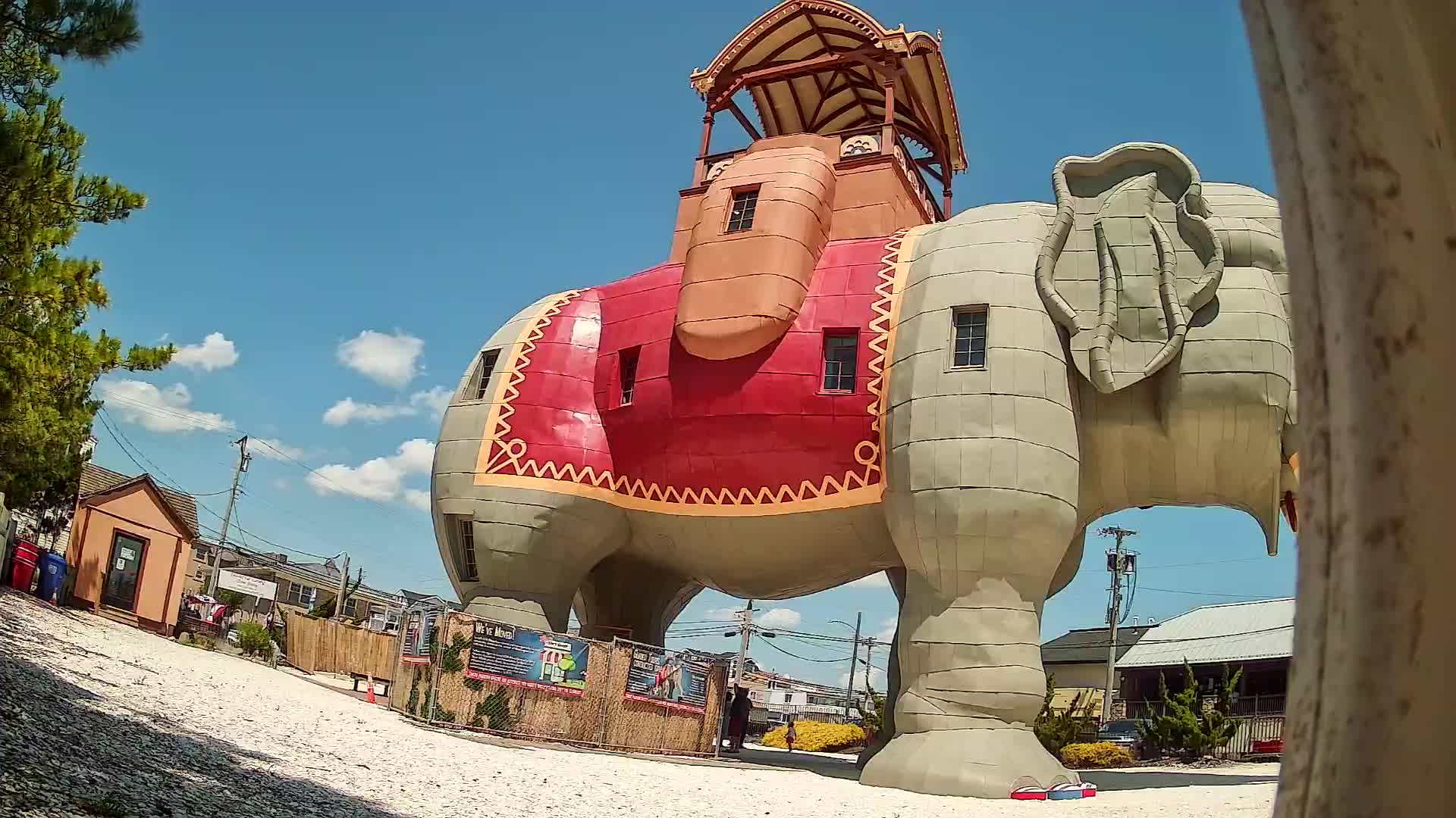 Lucy the Elephant Live Cam Margate, NJ