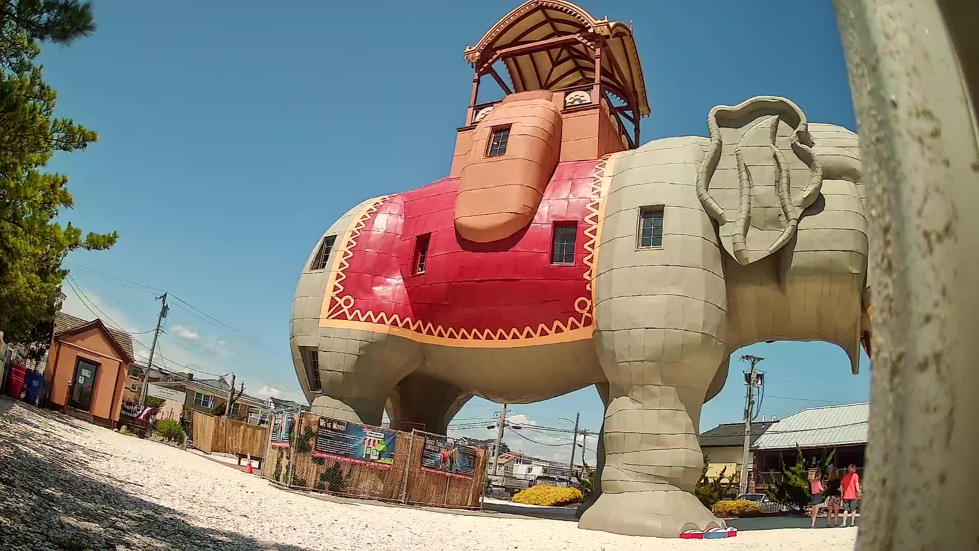 Lucy the Elephant Live Cam Margate, NJ