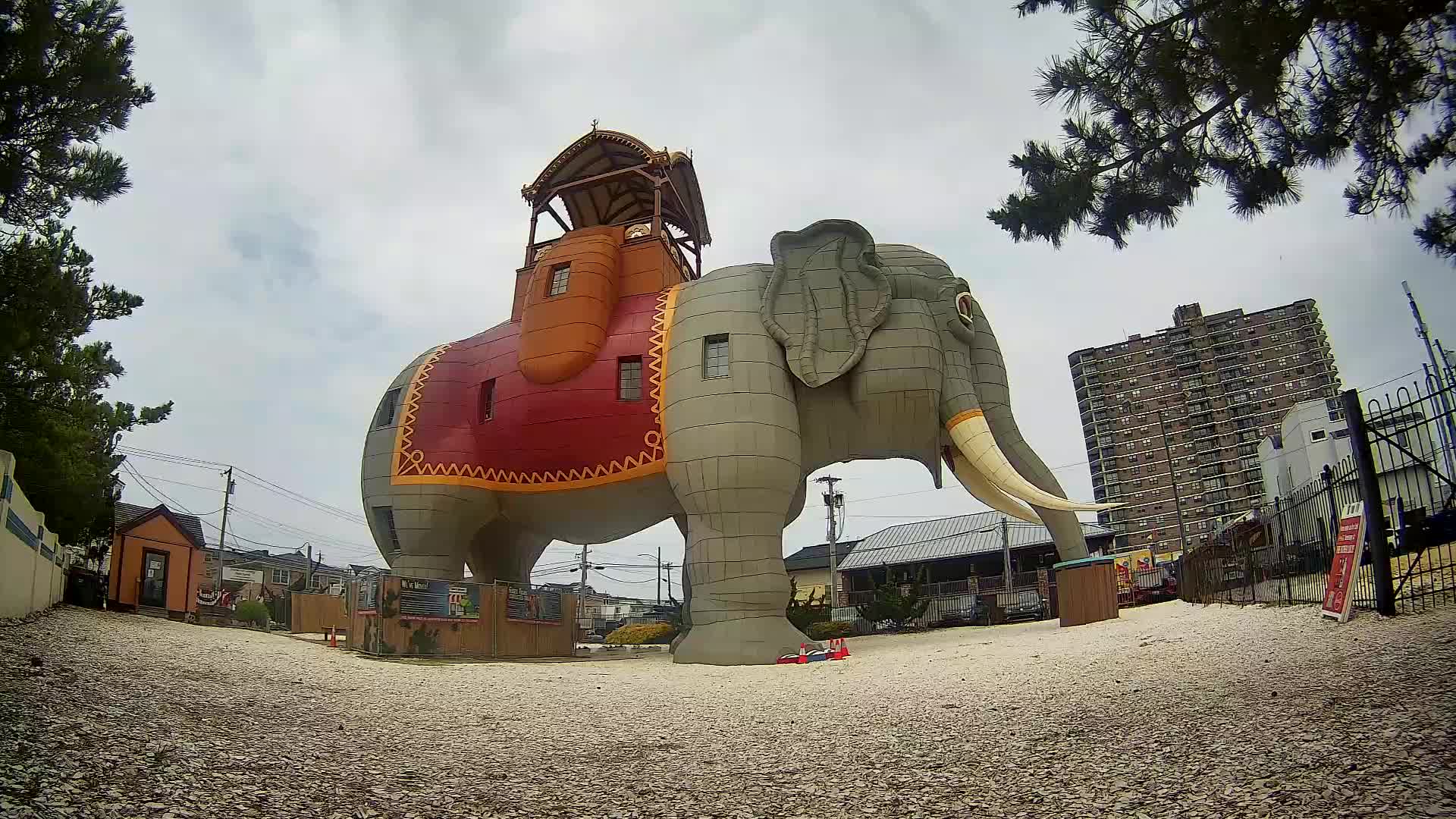 Lucy the Elephant Live Cam Margate, NJ