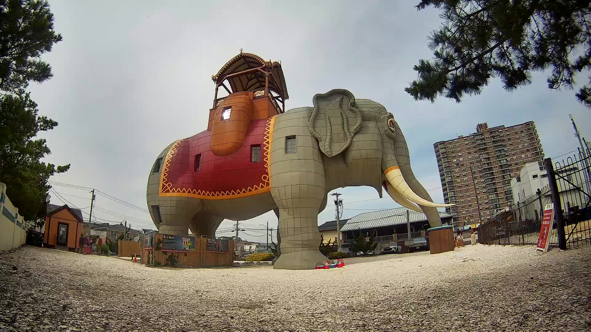 Lucy the Elephant Live Cam Margate, NJ
