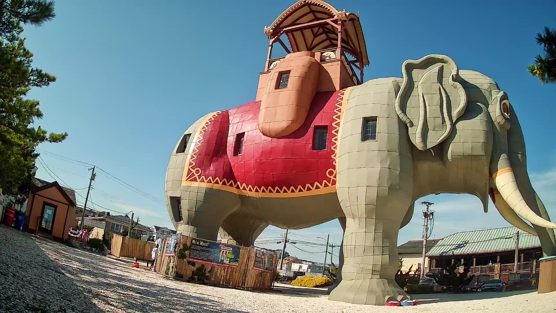 Lucy the Elephant Live Cam Margate, NJ