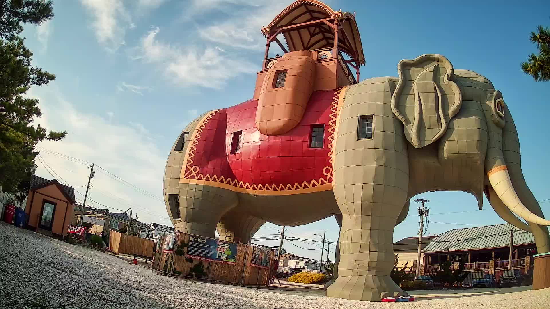 Lucy the Elephant Live Cam Margate, NJ