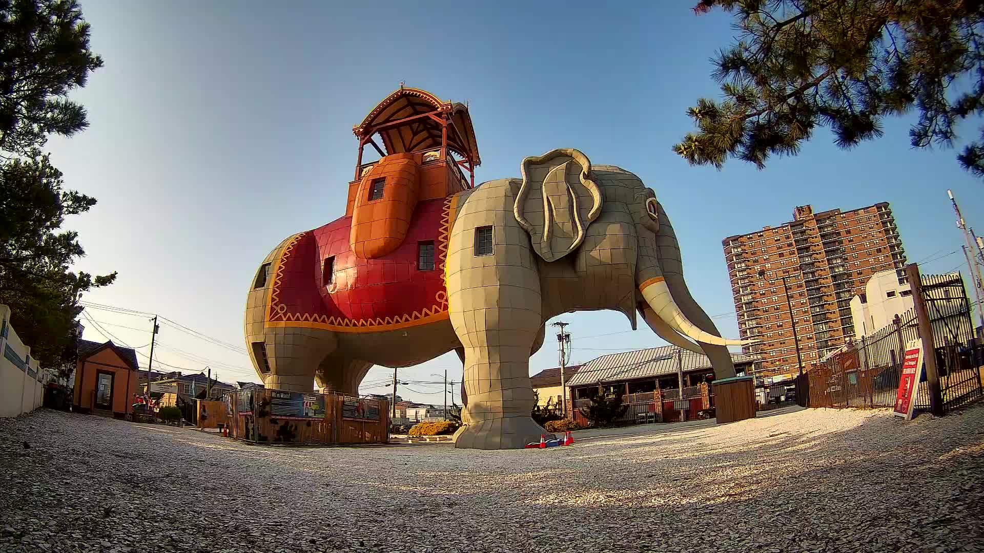 Lucy the Elephant Live Cam Margate, NJ