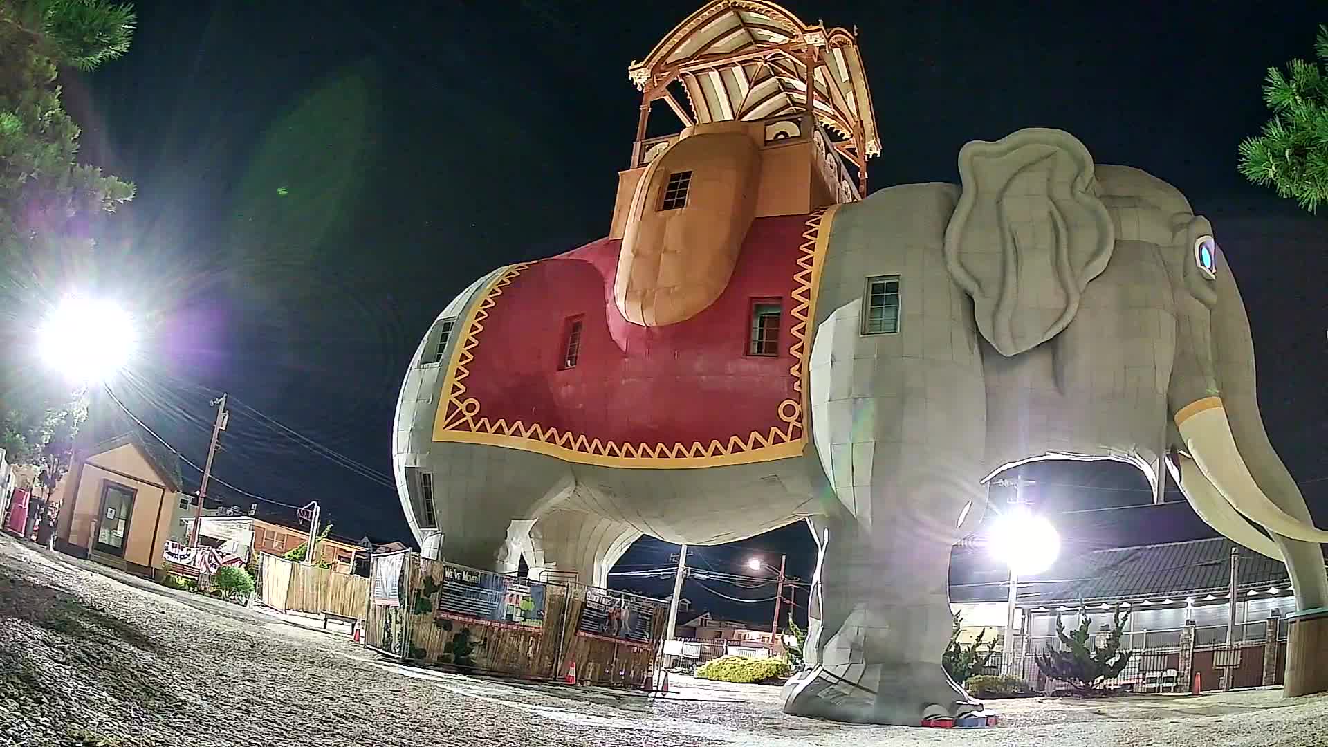 Lucy the Elephant Live Cam Margate, NJ