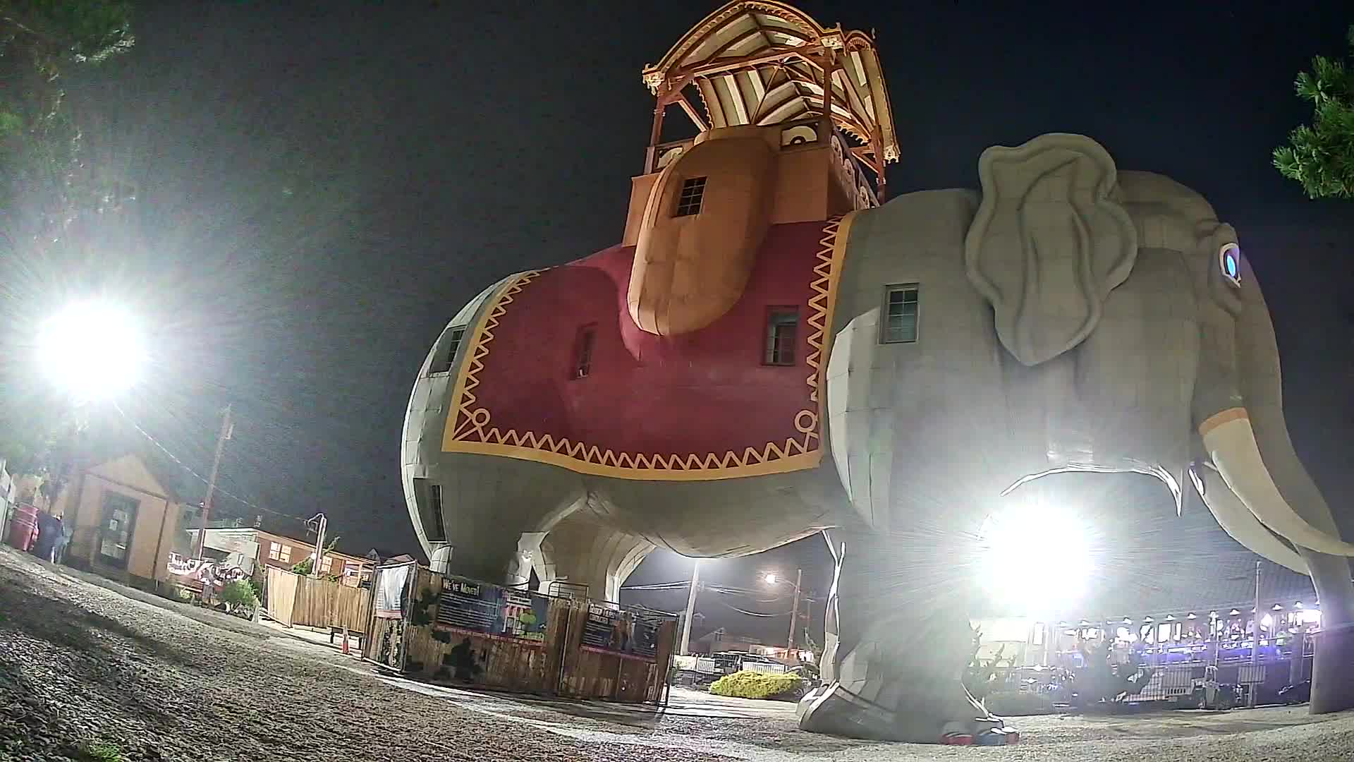 Lucy the Elephant Live Cam Margate, NJ