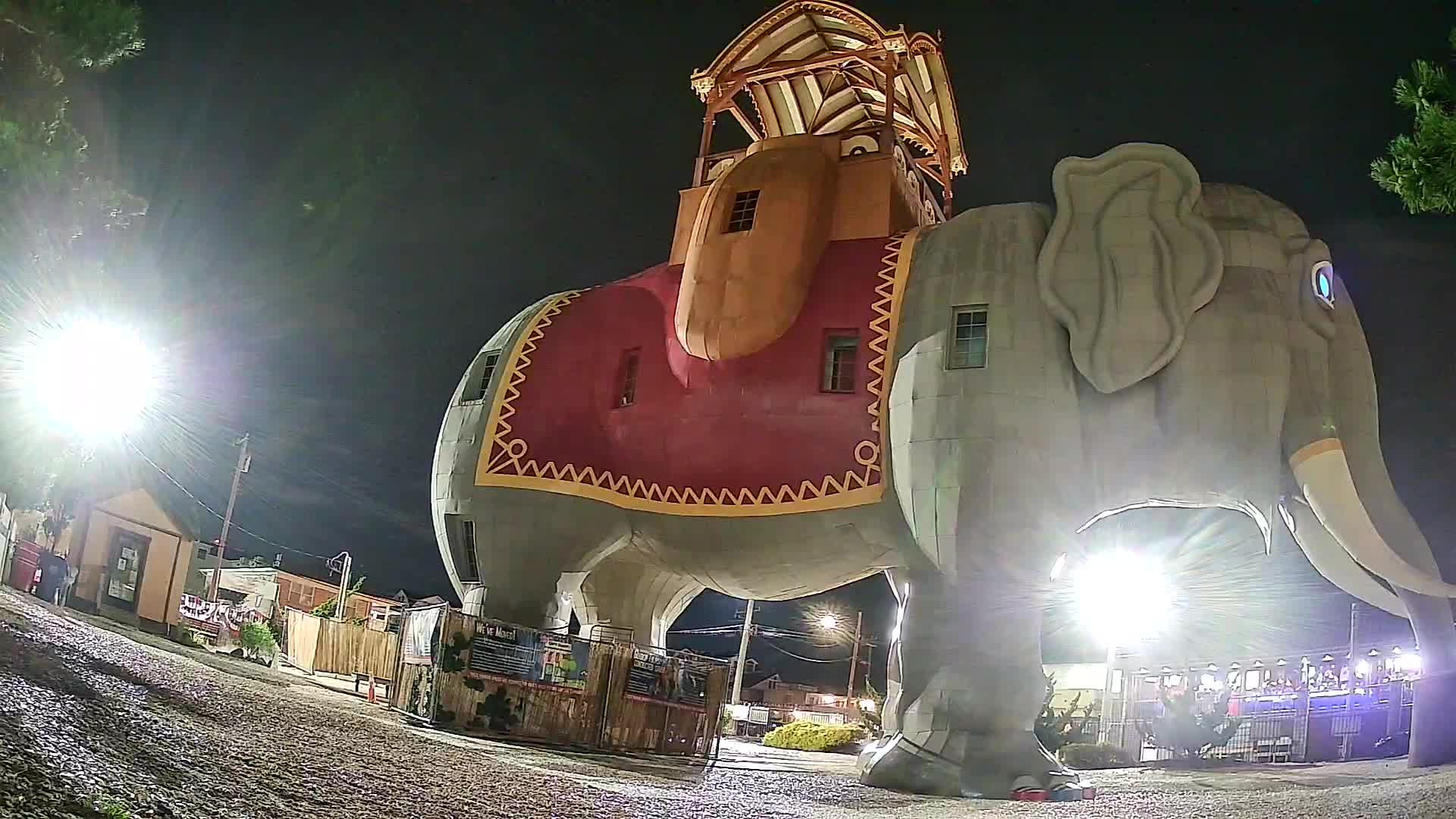 Lucy the Elephant Live Cam Margate, NJ