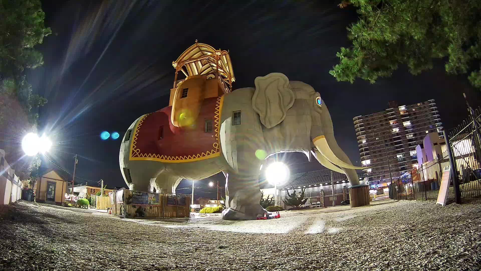 Lucy the Elephant Live Cam Margate, NJ