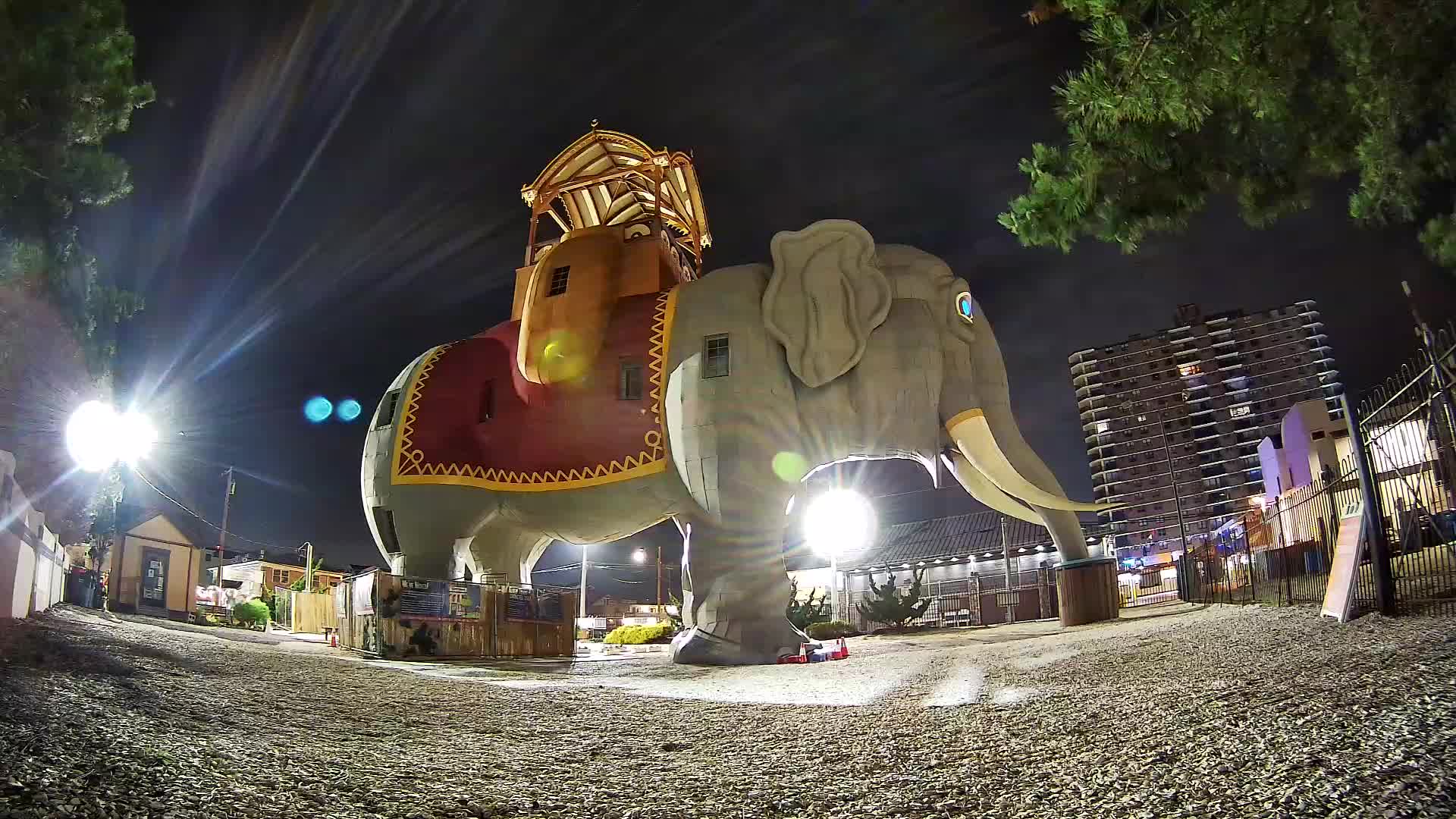 Lucy the Elephant Live Cam Margate, NJ