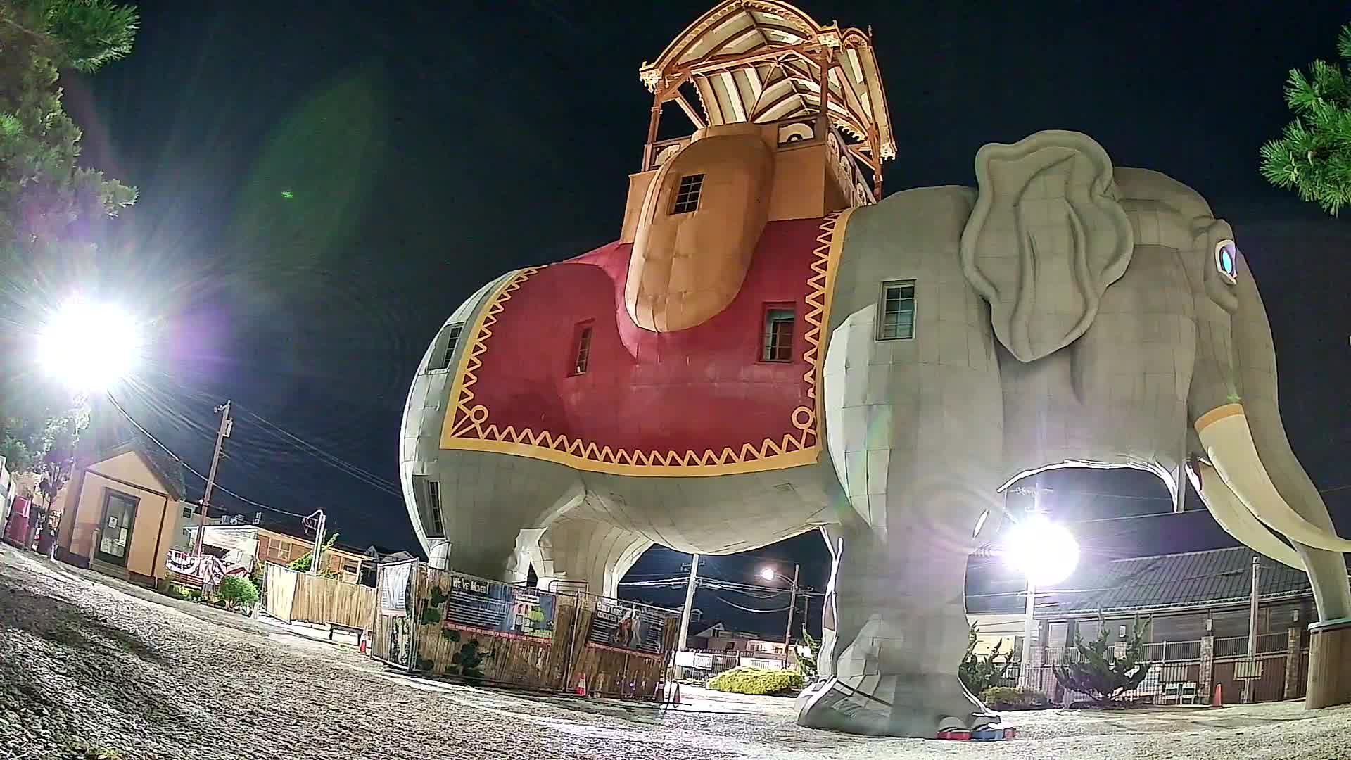 Lucy the Elephant Live Cam Margate, NJ