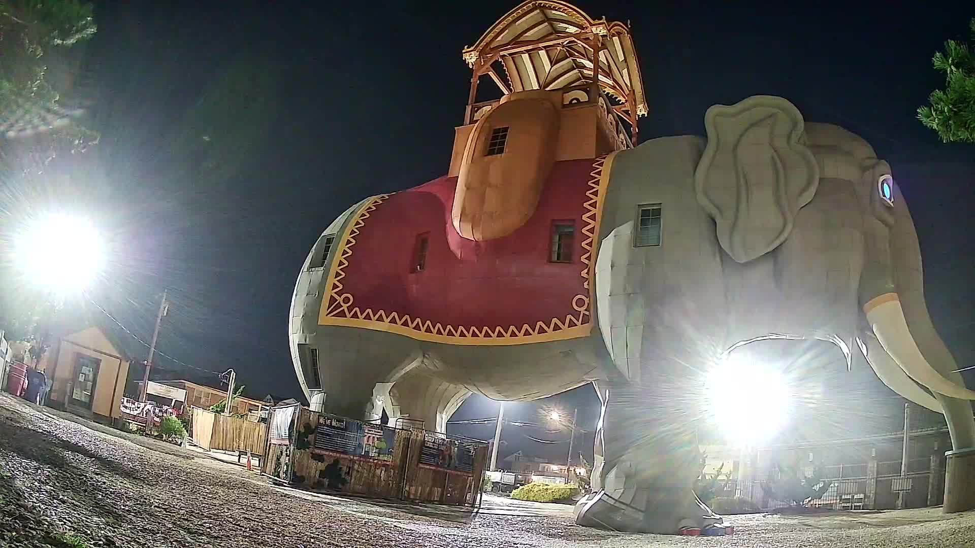 Lucy the Elephant Live Cam Margate, NJ