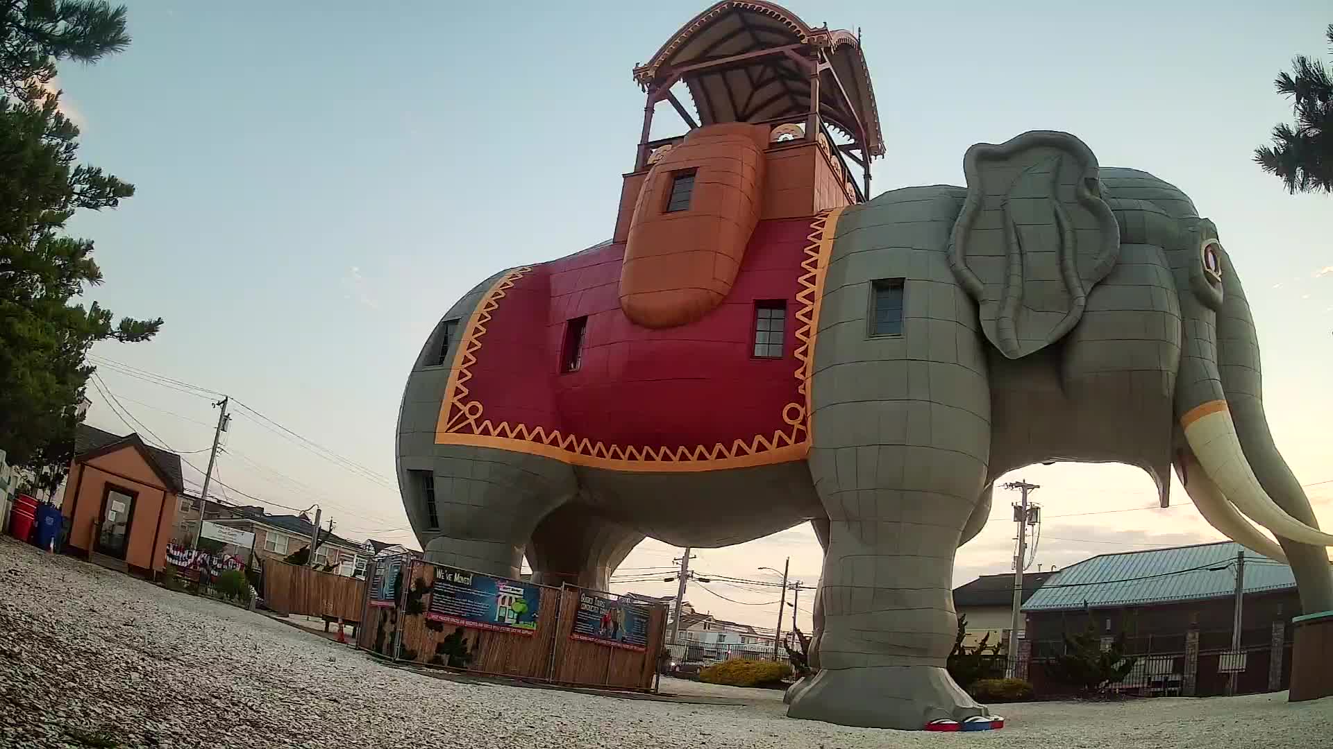 Lucy the Elephant Live Cam Margate, NJ