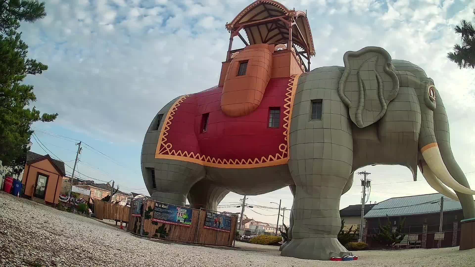Lucy the Elephant Live Cam Margate, NJ