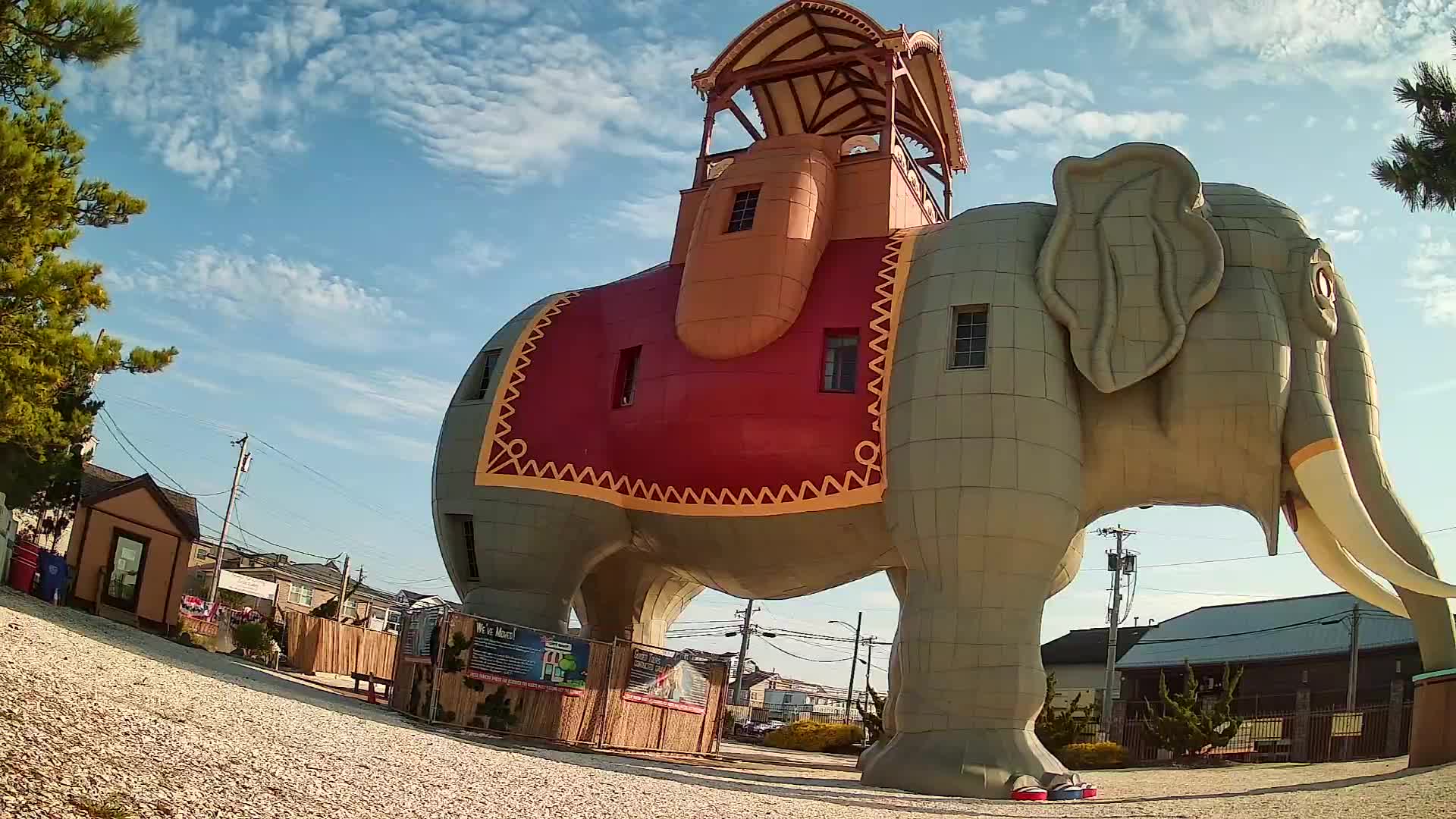 Lucy the Elephant Live Cam Margate, NJ