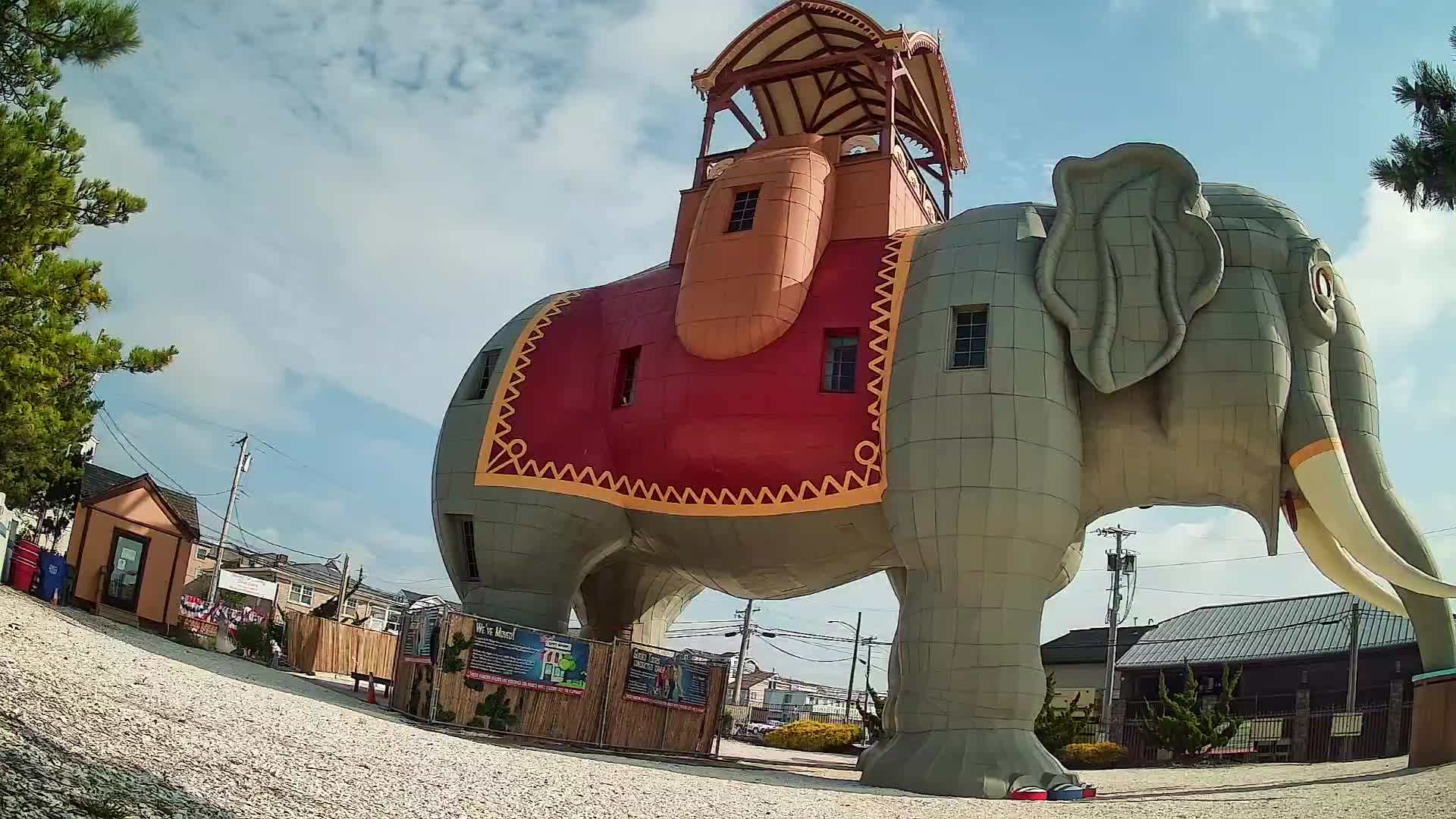 Lucy the Elephant Live Cam Margate, NJ