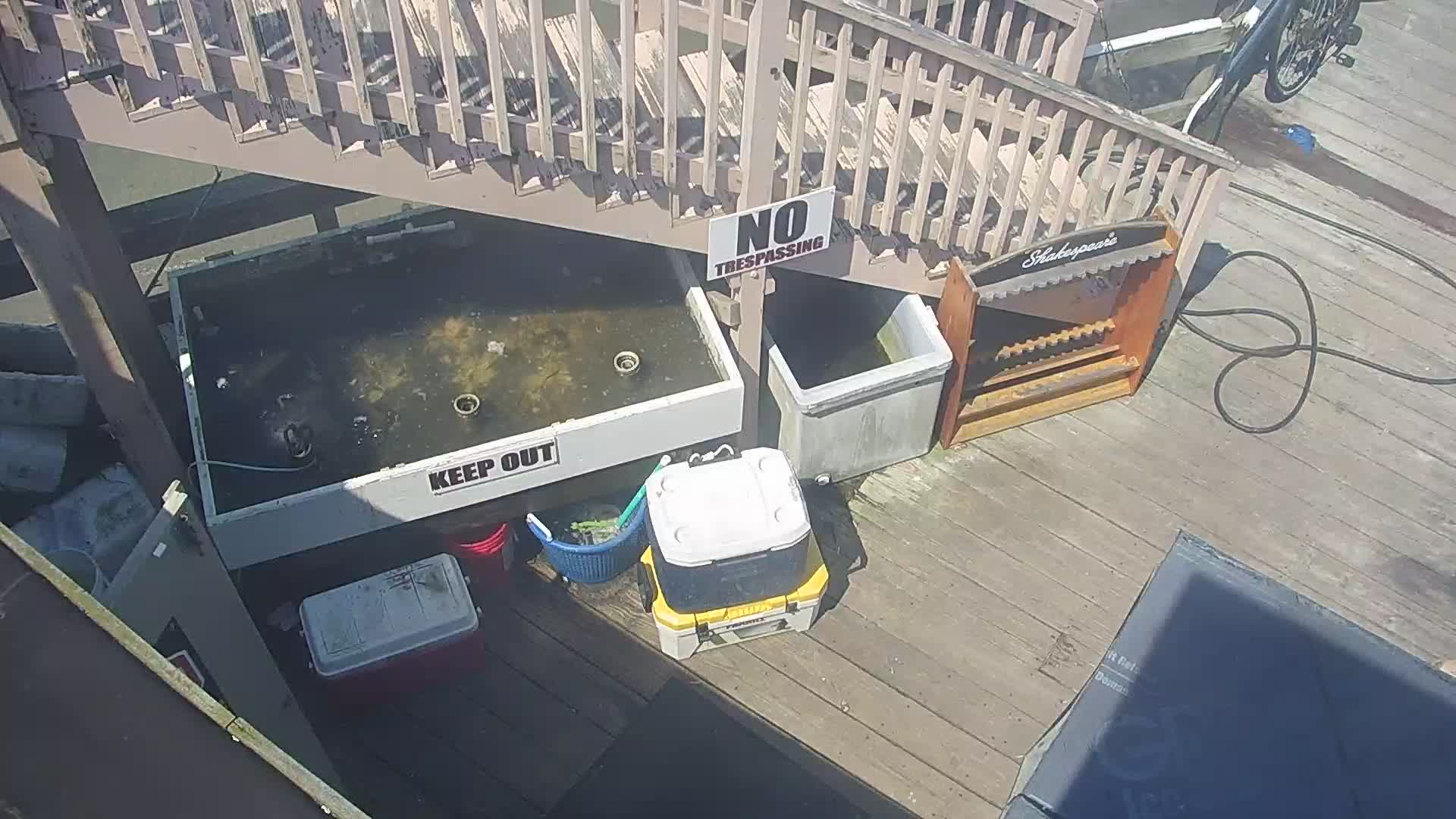 Oceanic Fishing Pier PTZ Pan Cam