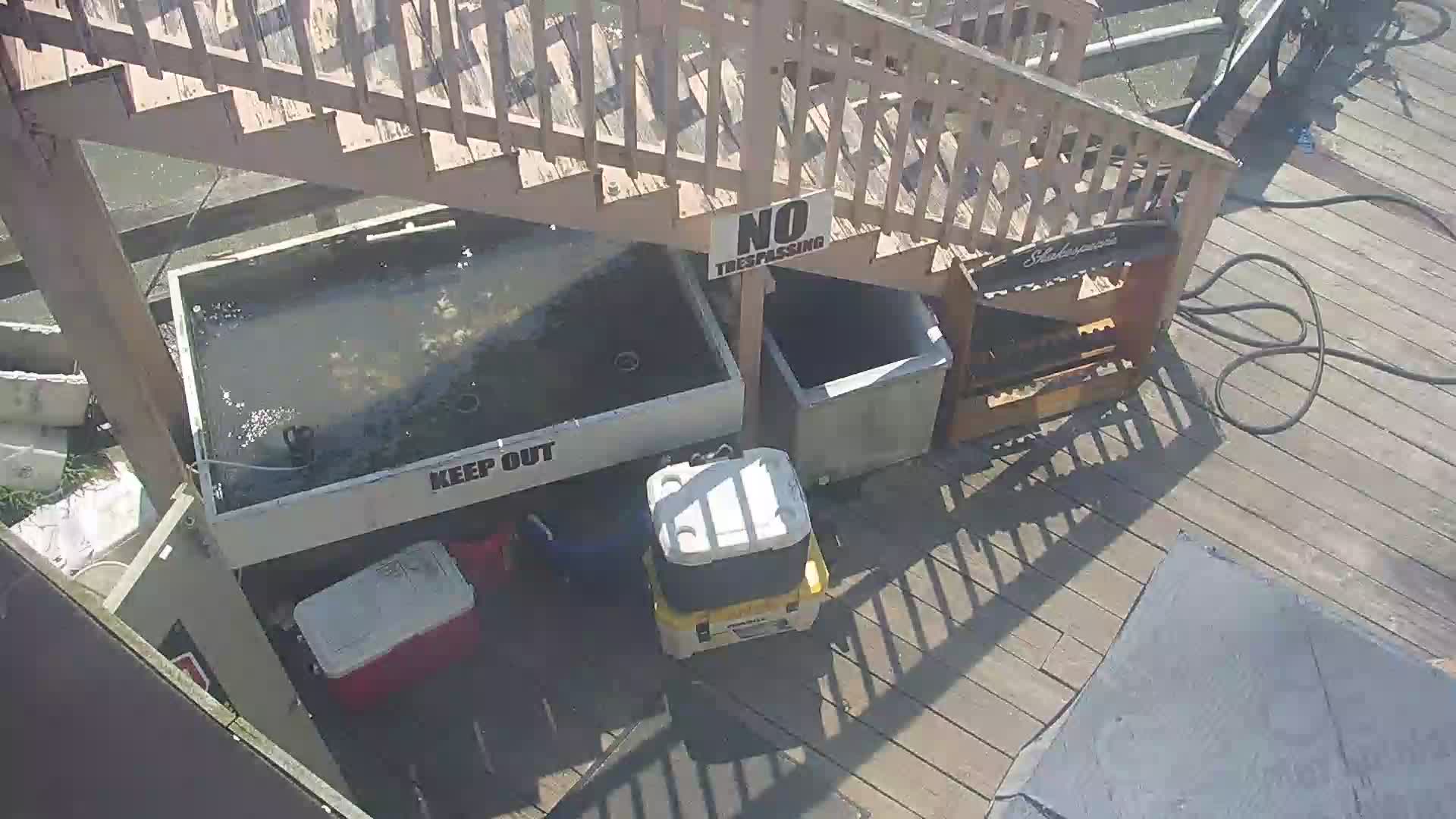 Oceanic Fishing Pier PTZ Pan Cam