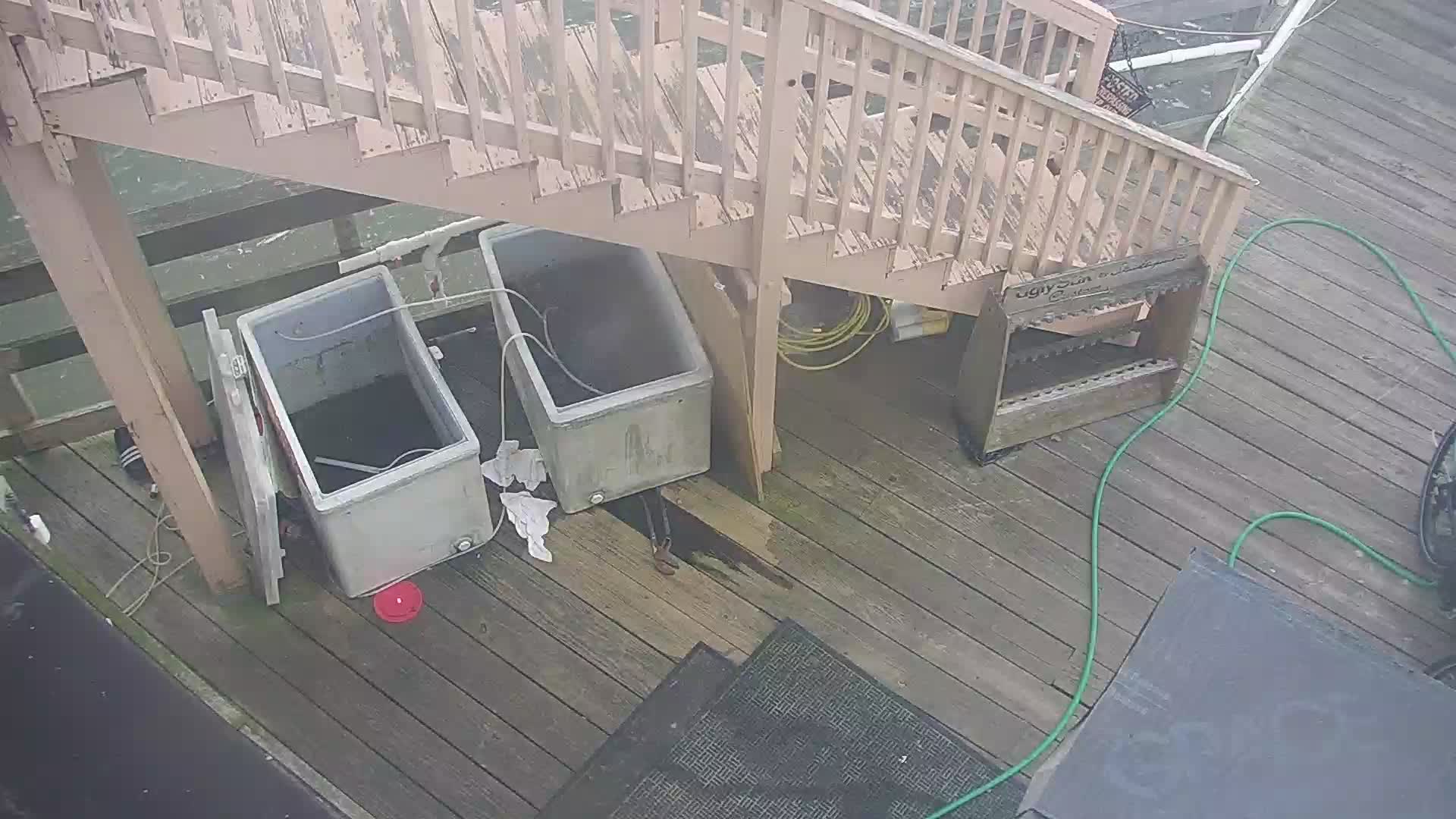 Oceanic Fishing Pier PTZ Pan Cam