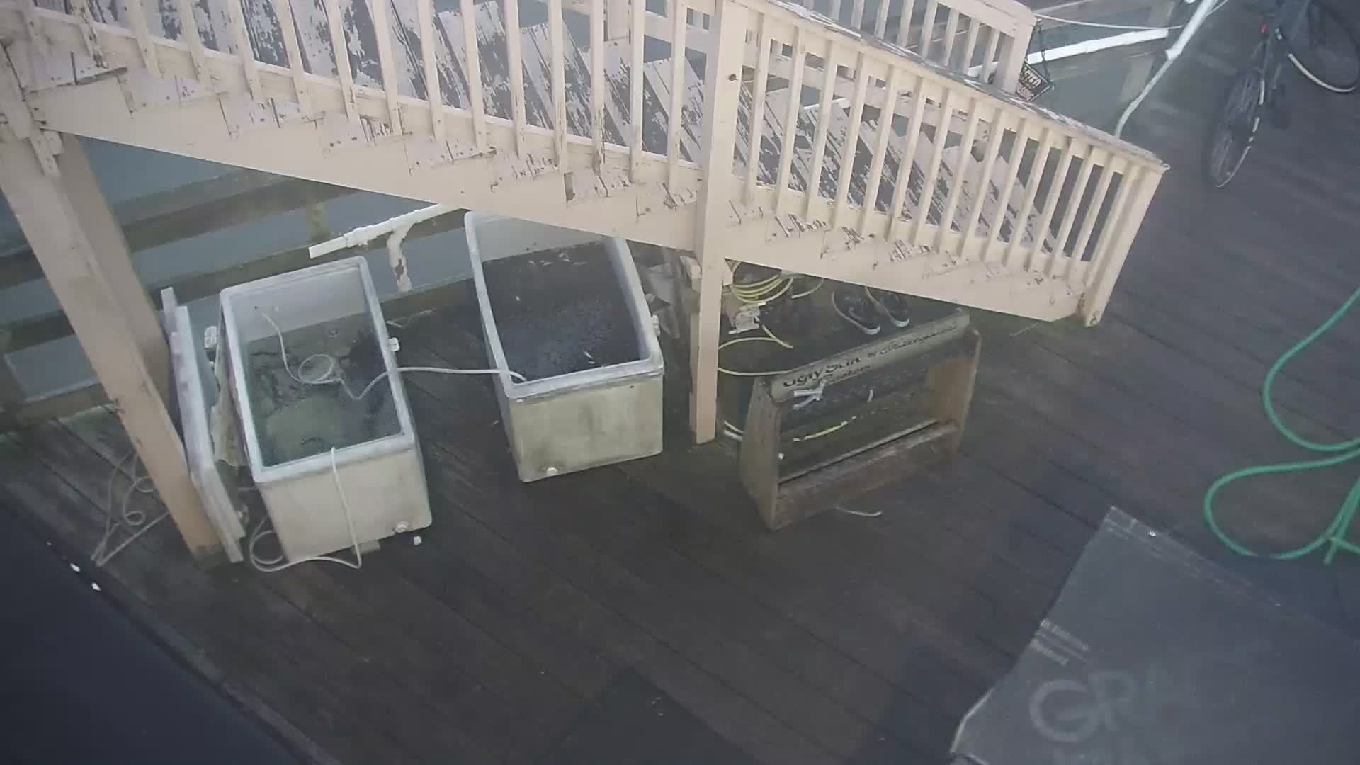 Oceanic Fishing Pier PTZ Pan Cam