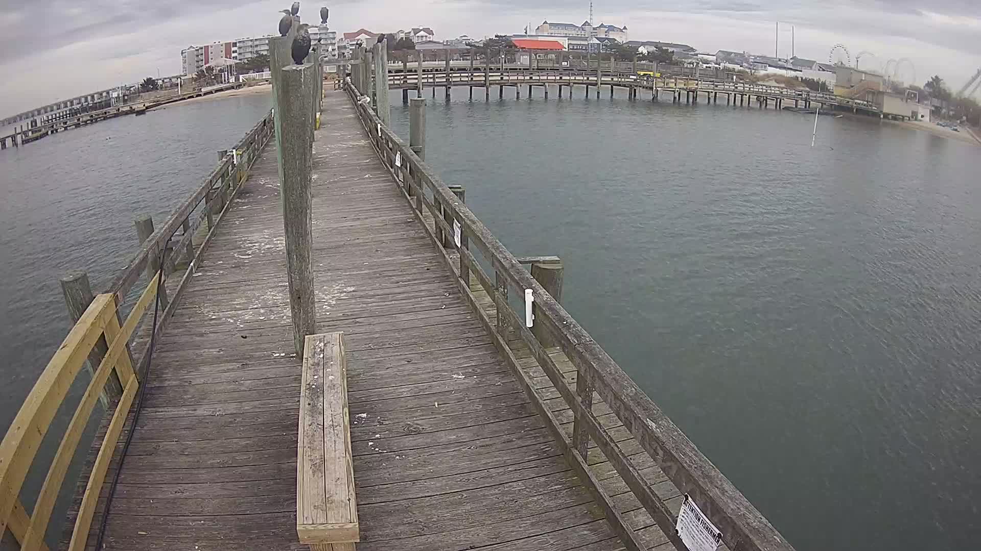 Oceanic Fishing Pier Looking North towards town