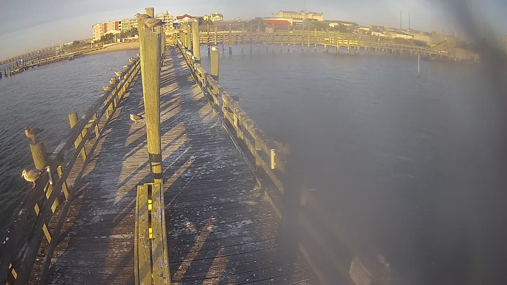Oceanic Fishing Pier Looking North towards town