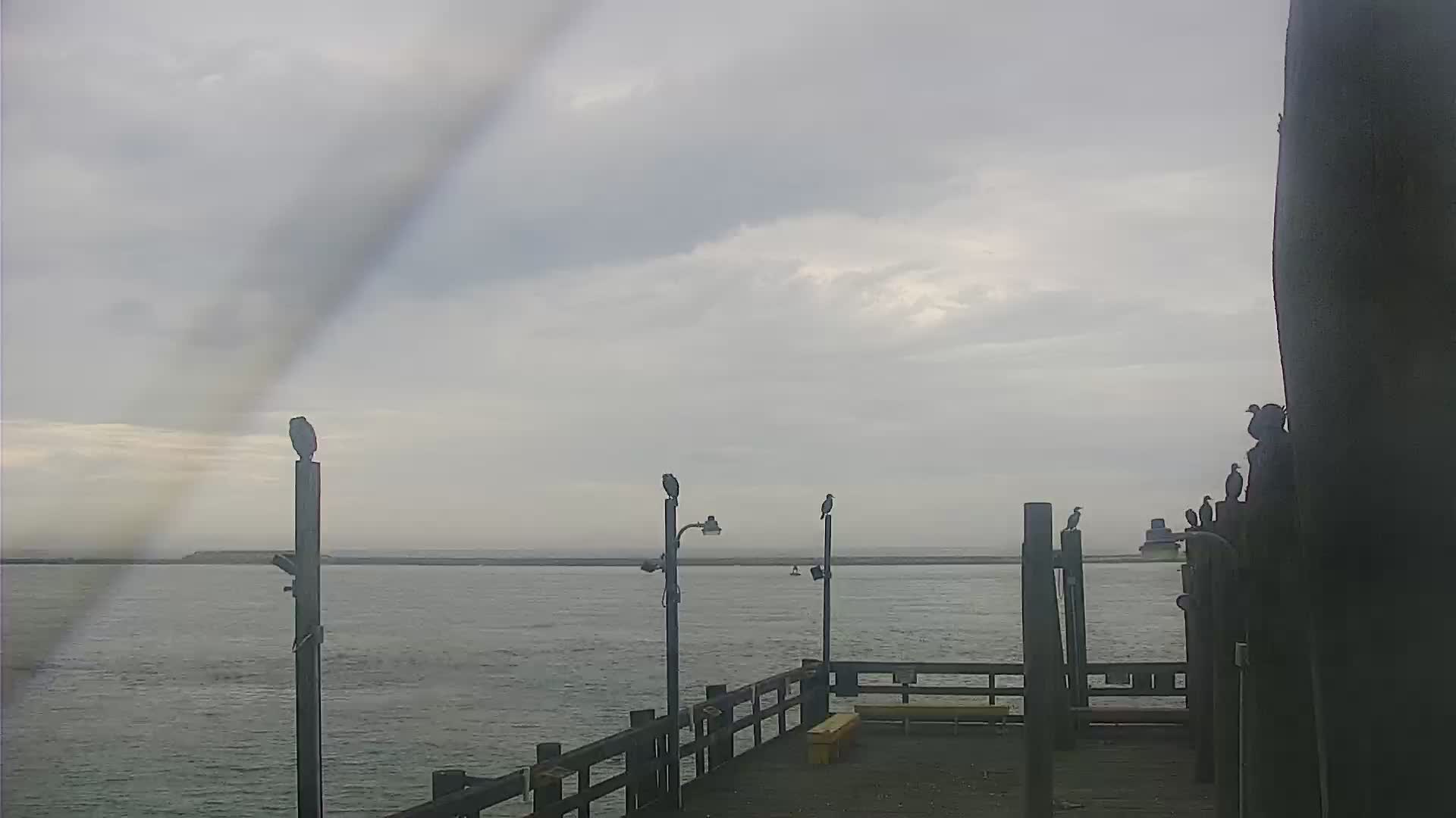 Oceanic Fishing Pier End Looking Southwest