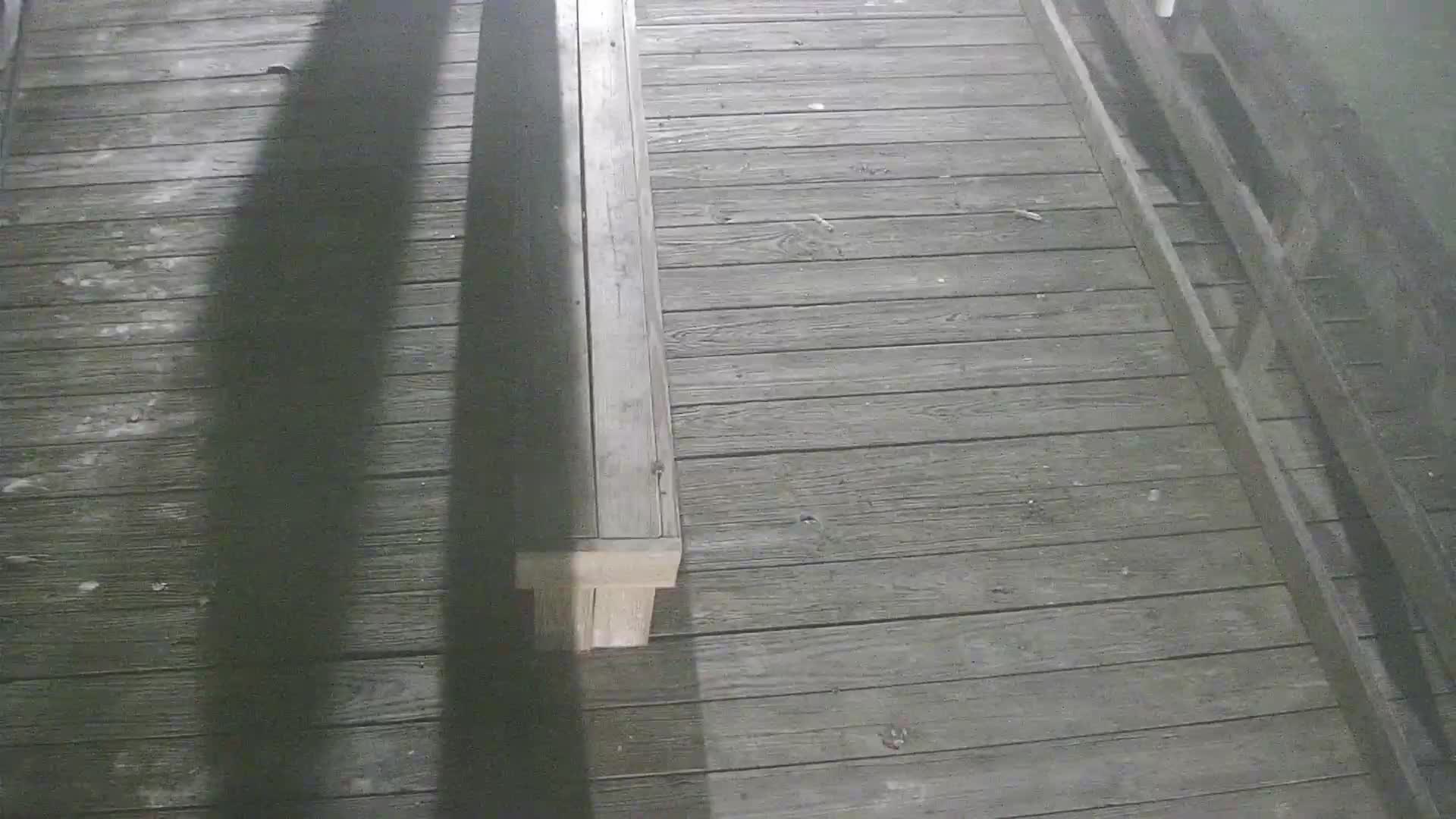 Oceanic Fishing Pier End Looking Northwest