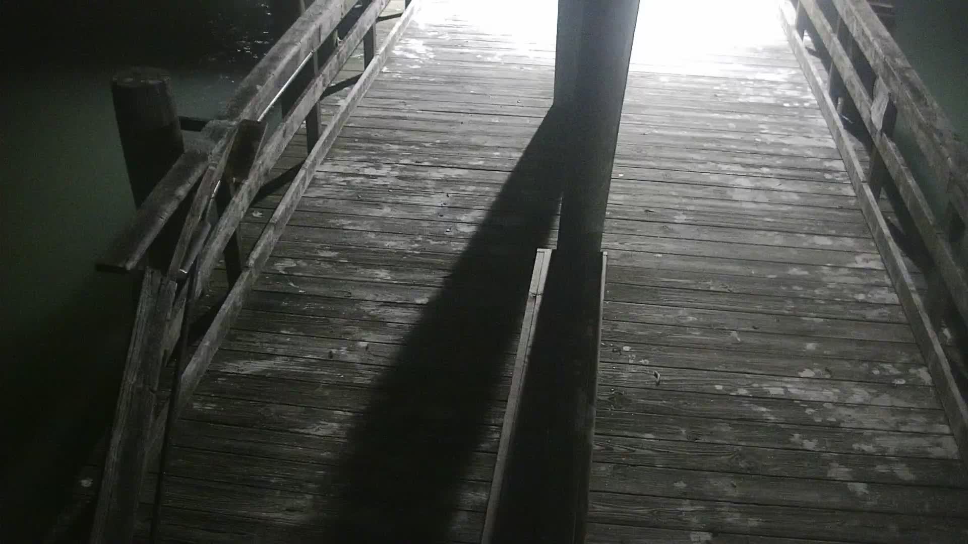 Oceanic Fishing Pier End Looking Northwest