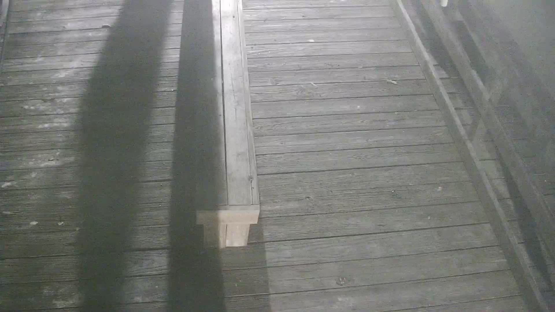 Oceanic Fishing Pier End Looking Northwest