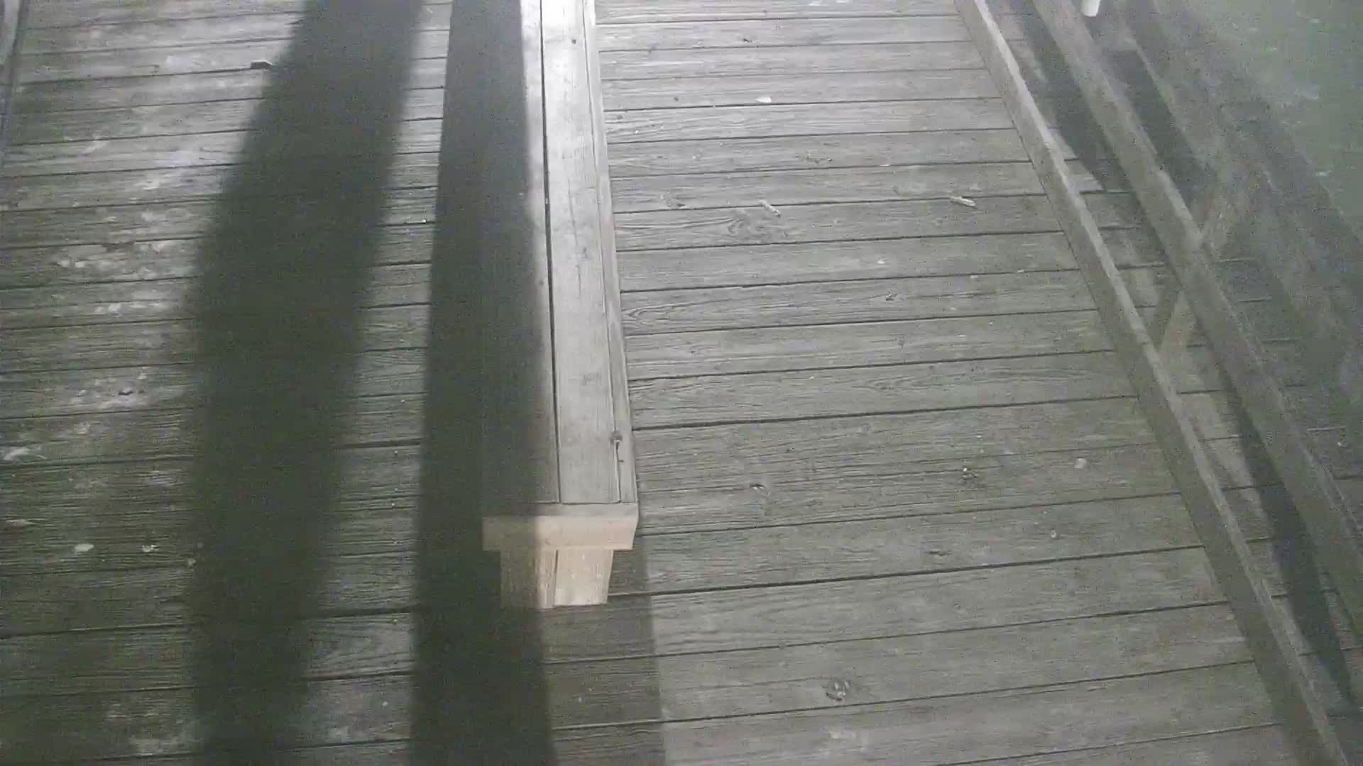 Oceanic Fishing Pier End Looking Northwest