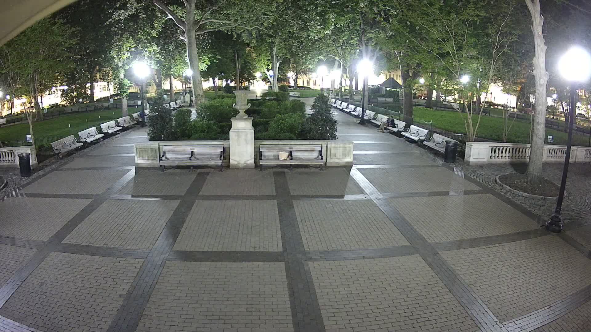 Rittenhouse Square Xmas Tree Cam II