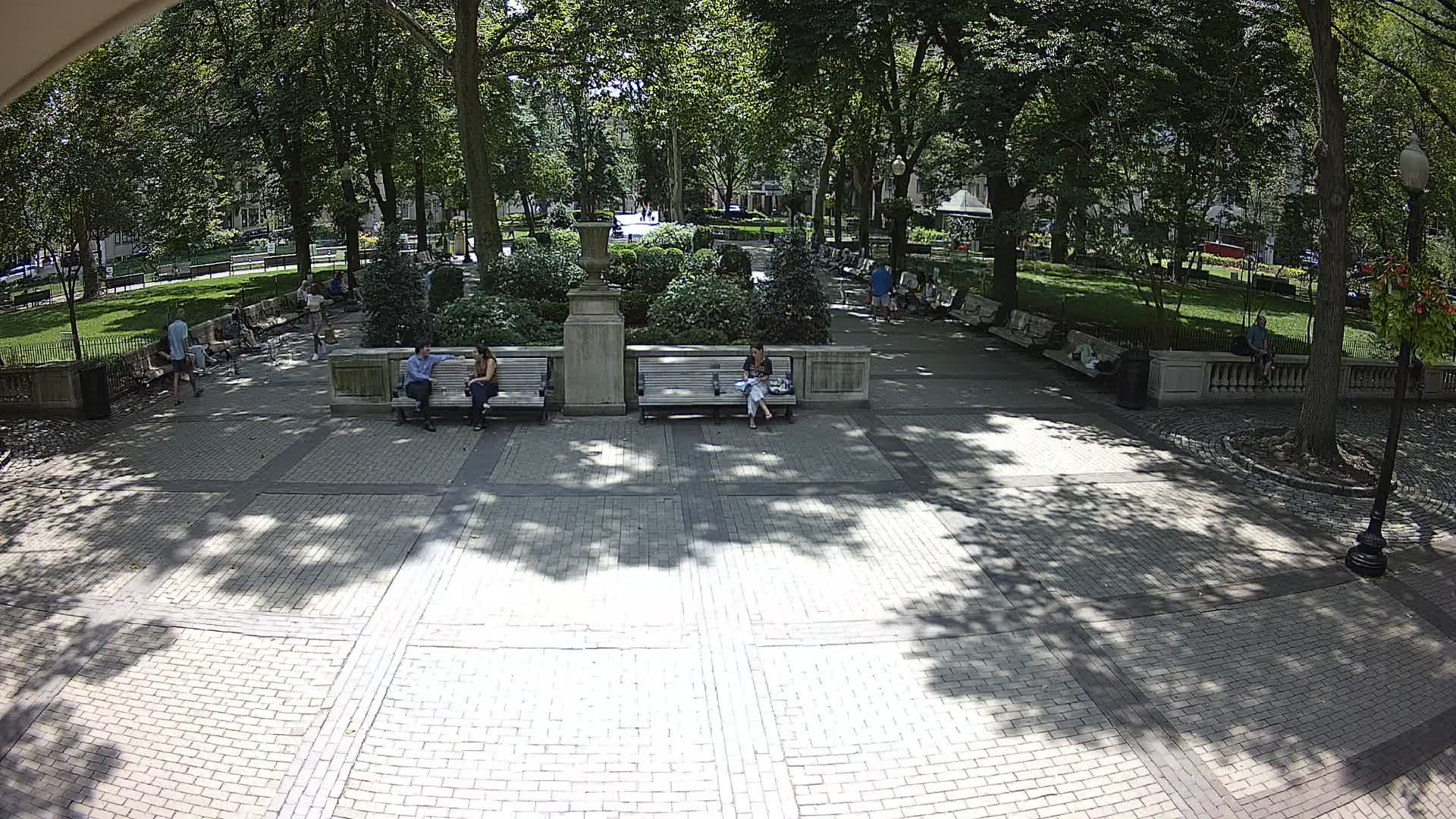 Rittenhouse Square Xmas Tree Cam II
