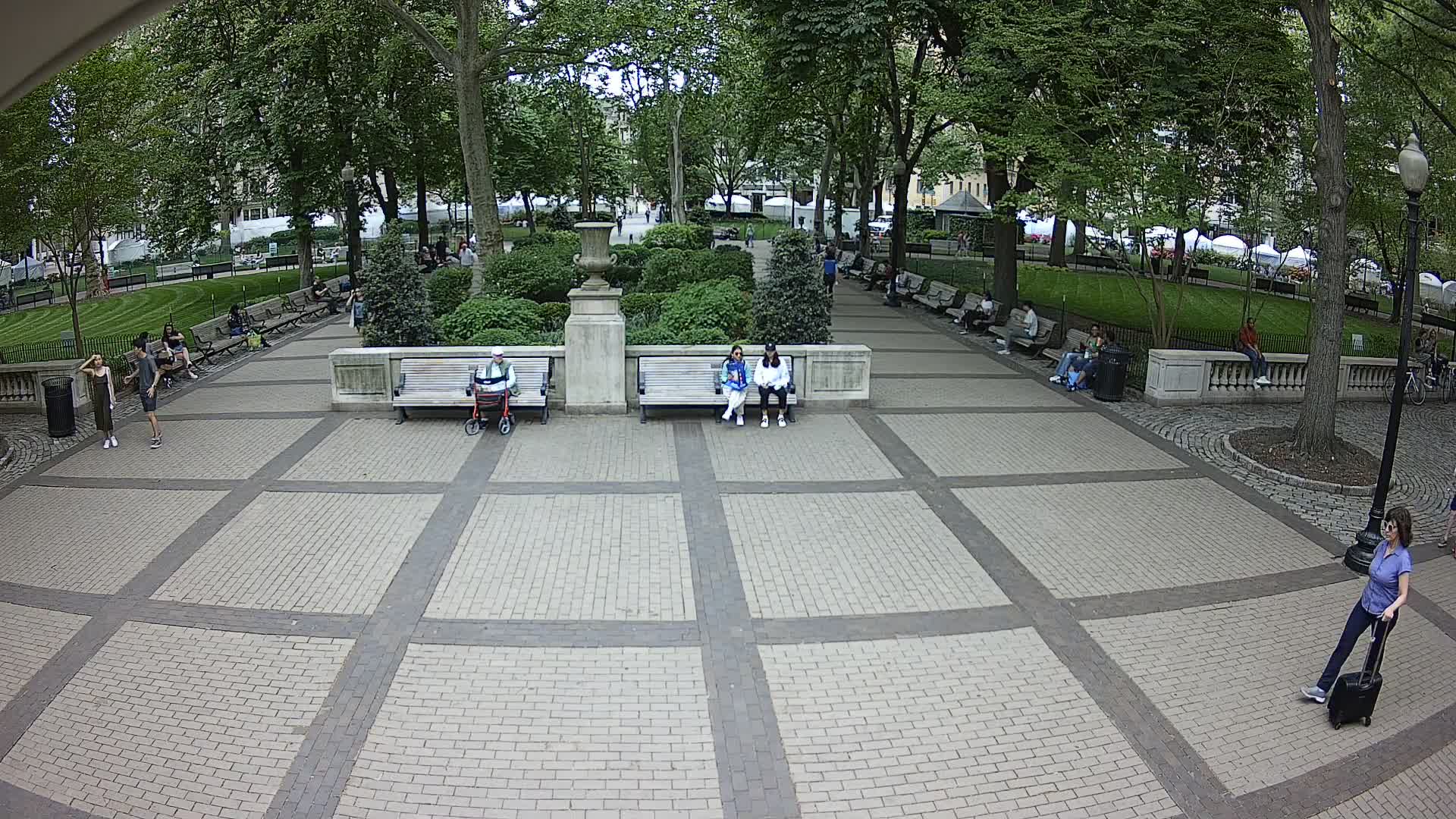 Rittenhouse Square Xmas Tree Cam II