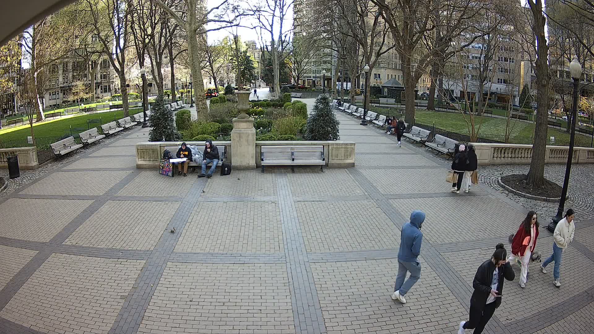 Rittenhouse Square Xmas Tree Cam II
